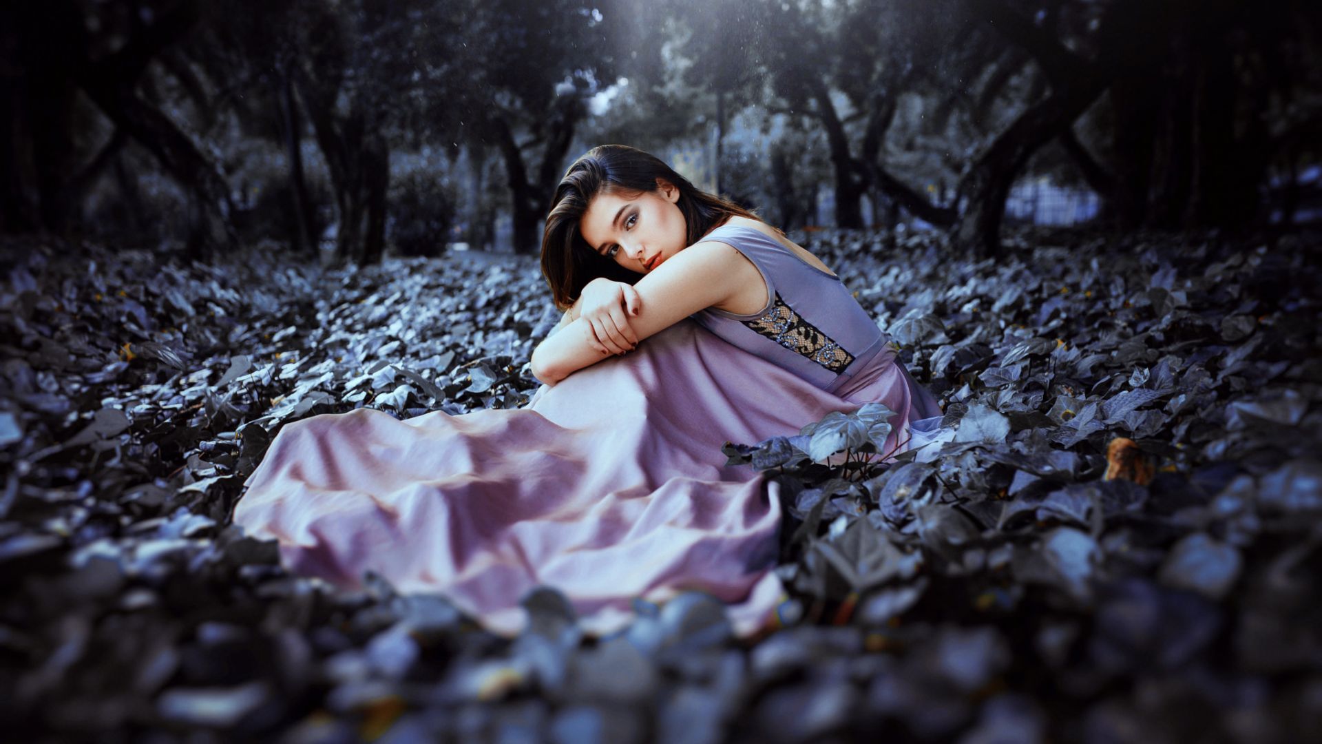 Wallpaper Purple dress, fall, outdoor, girl model
