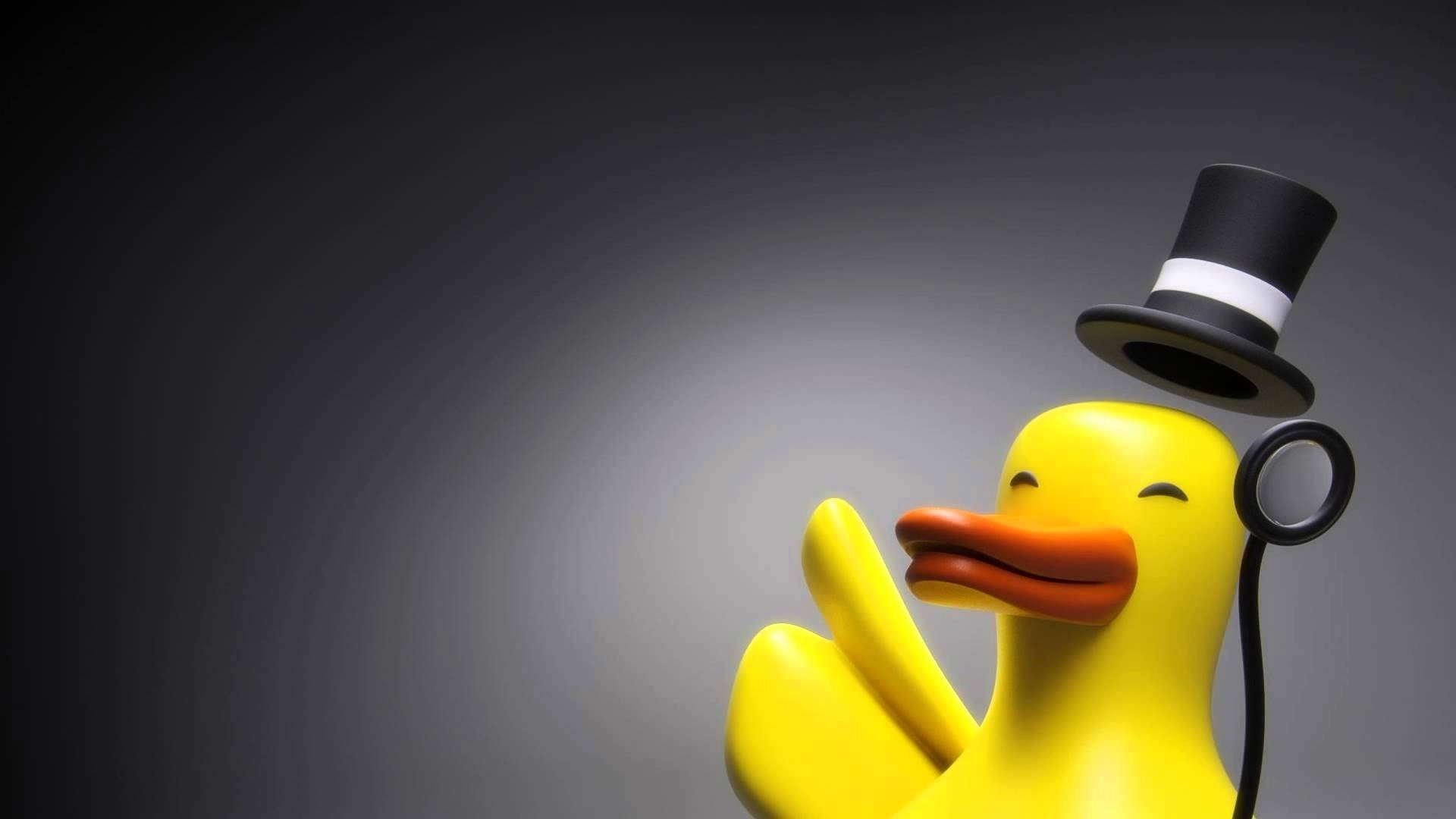 Wallpaper Duck and Hat