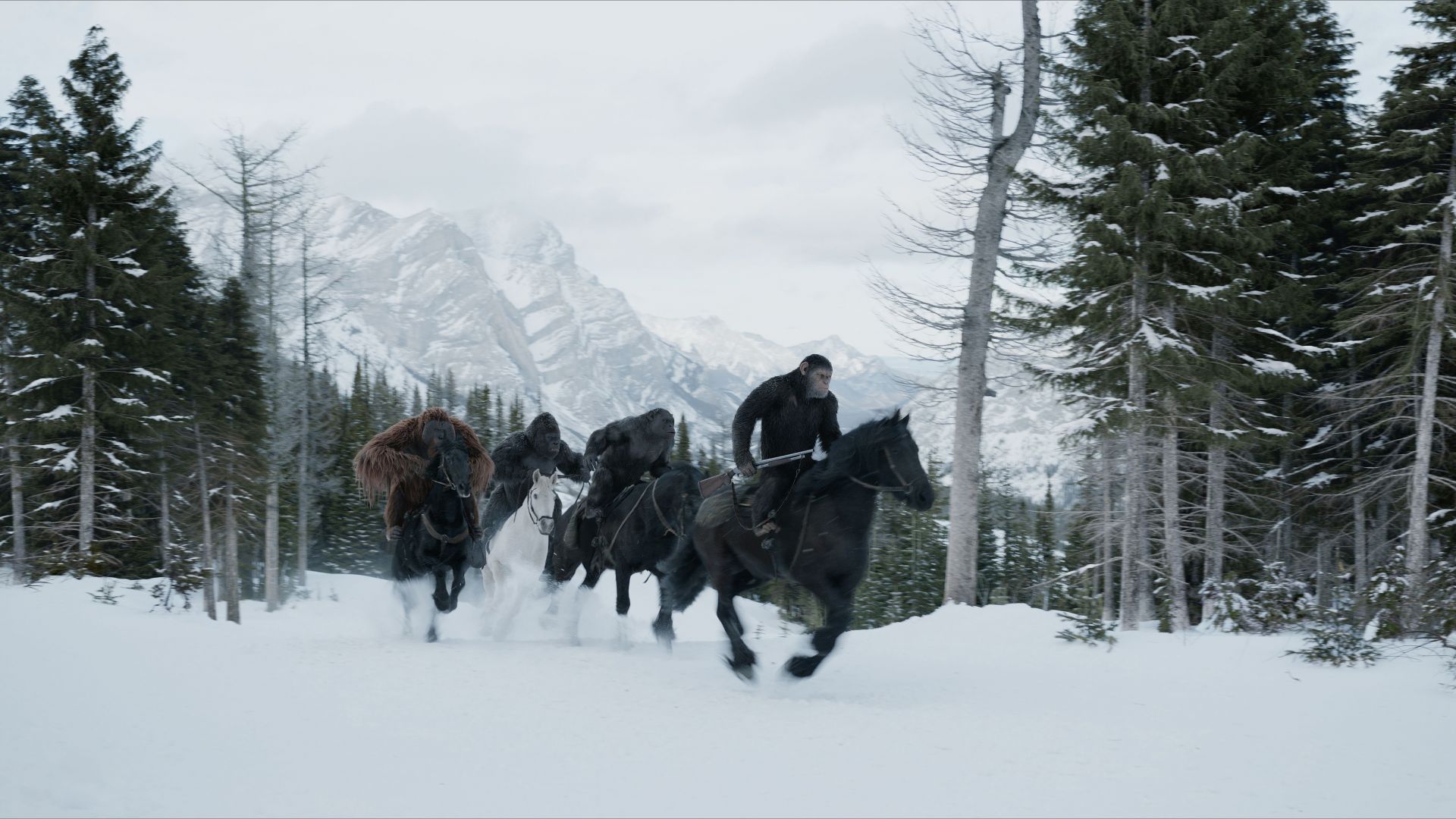 Wallpaper 2017 movie, War for the planet of the apes, horse riding, 4k