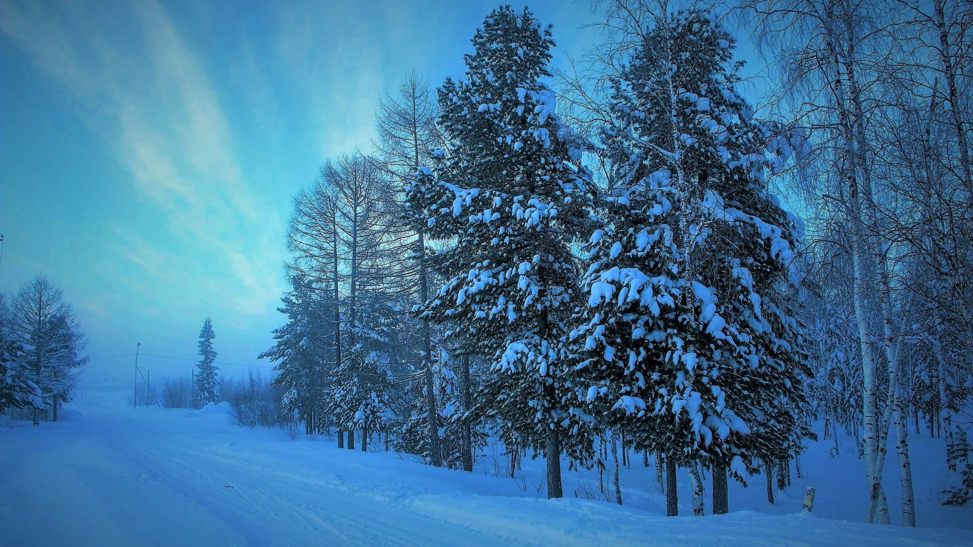 Desktop Wallpaper Misty Winter, Fog, Tree, Snowfall, Nature, Hd Image,  Picture, Background, 1dcdbb