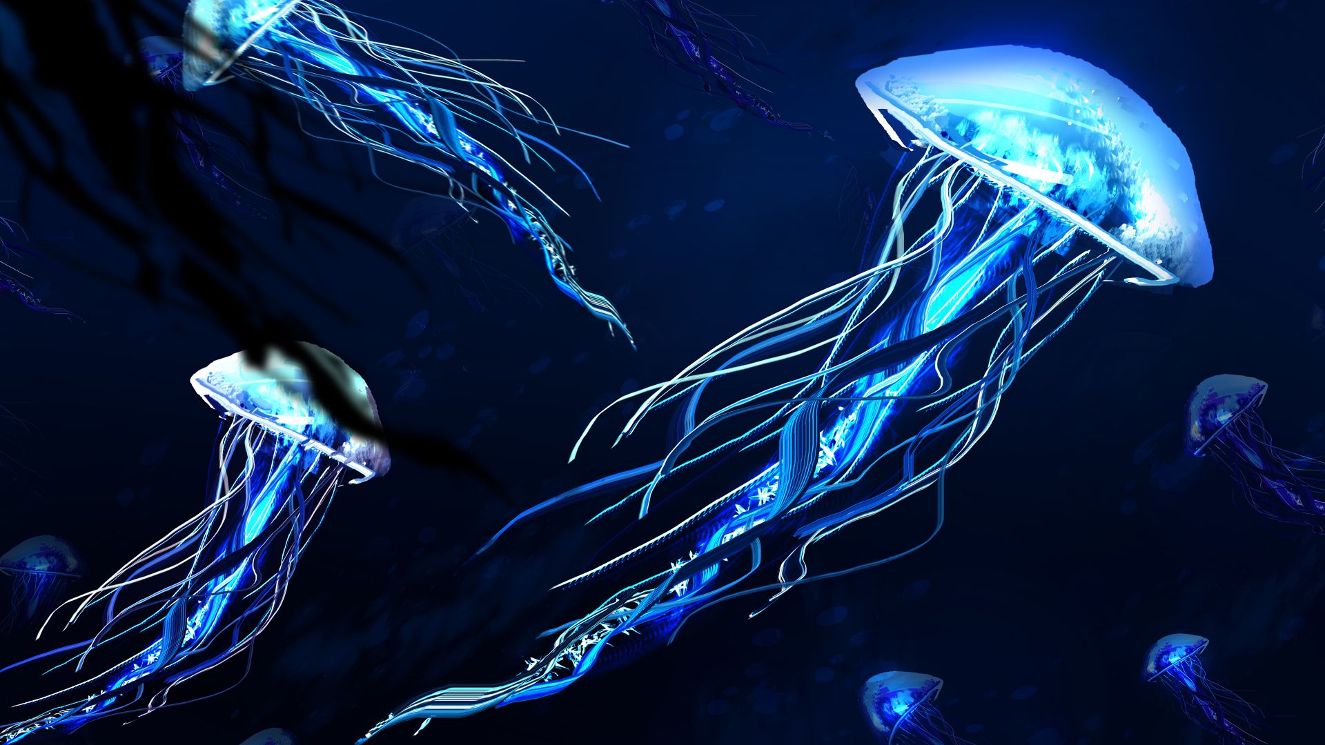 Wallpaper Jellyfishes, digital art, 4k