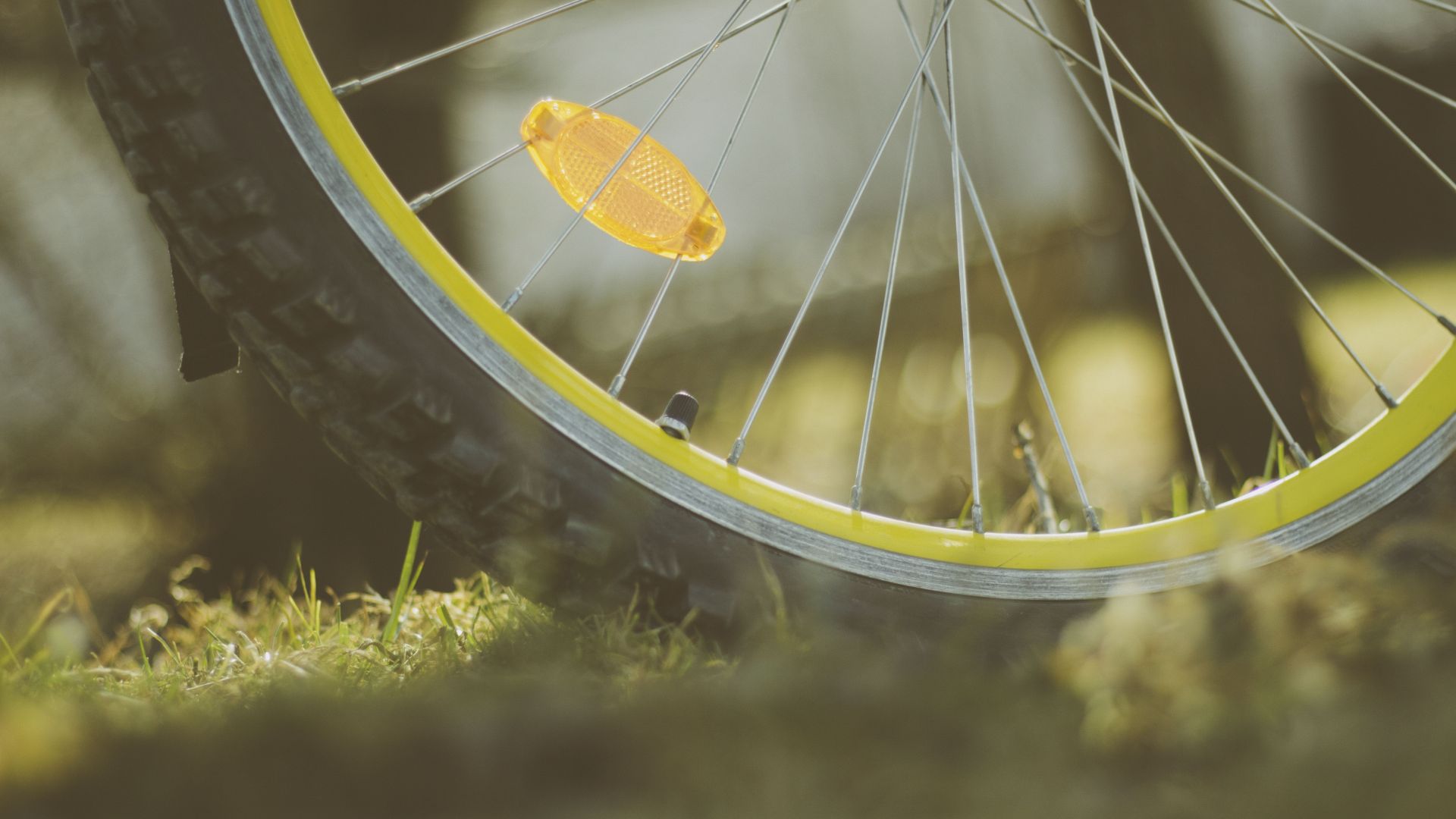Wallpaper Wheel, bicycle, moss, close up