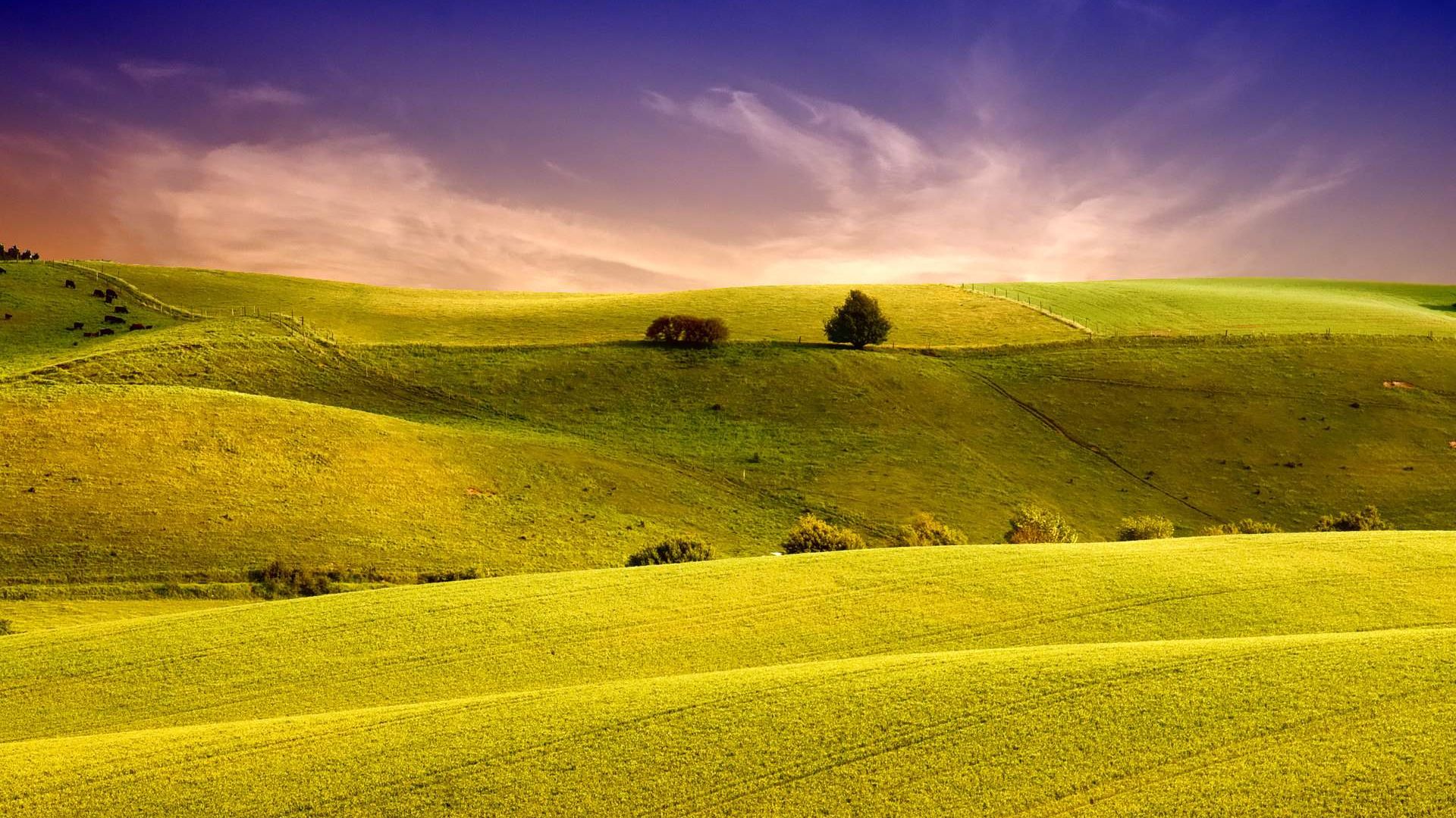 Wallpaper Green hills, sunset, landscape, nature