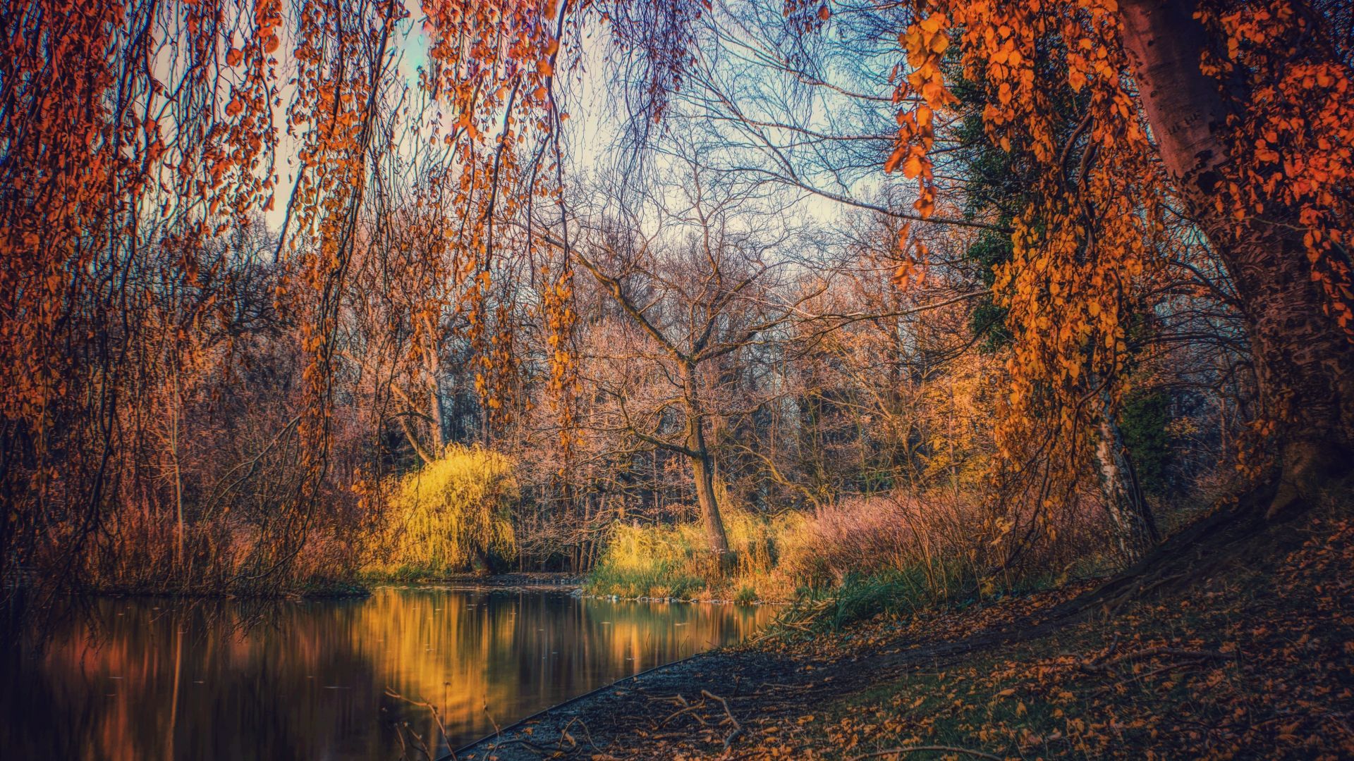 Wallpaper Lake, nature, tree, autumn