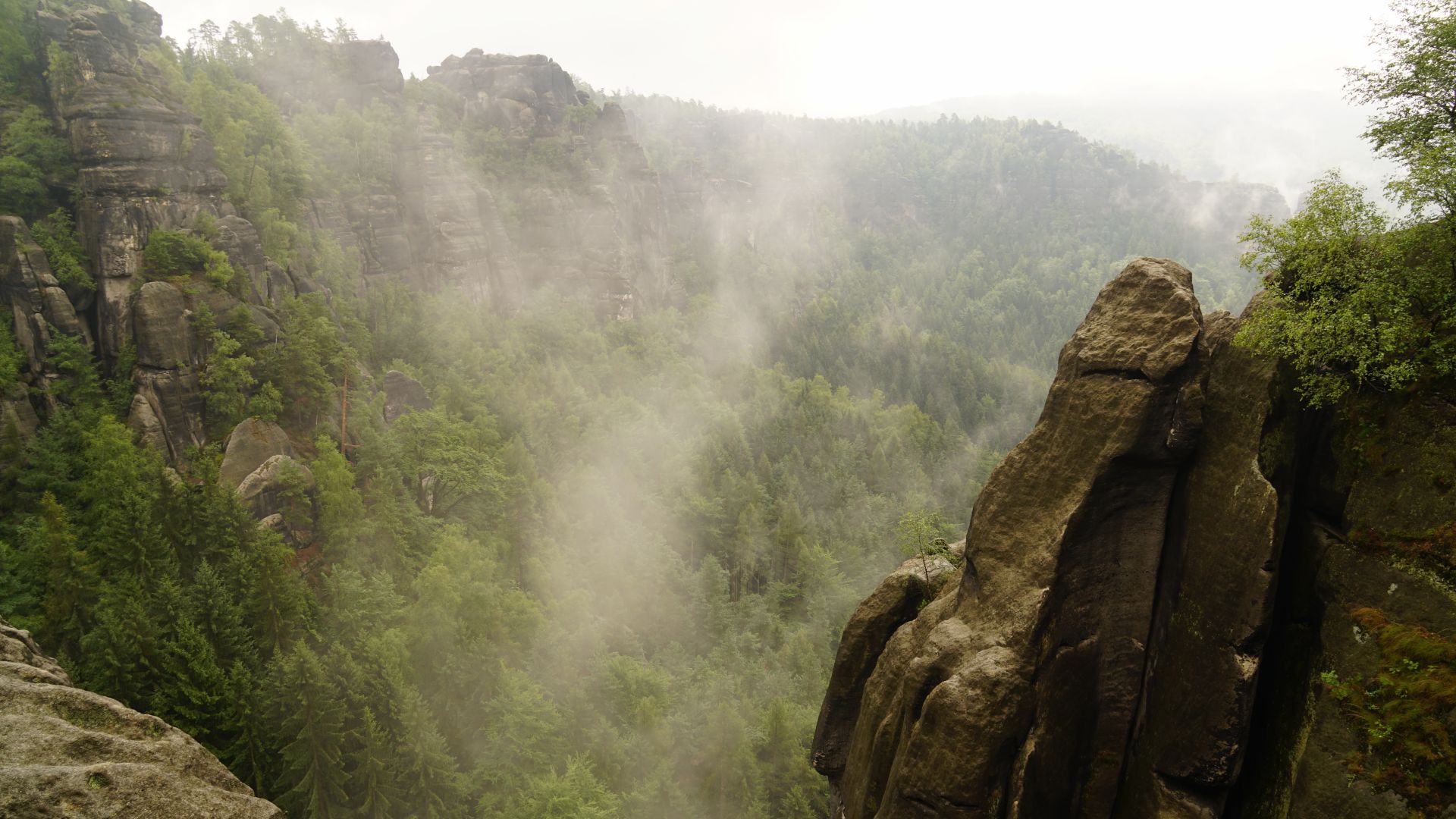 Wallpaper Cliff, valley, tree, mist, fog, nature