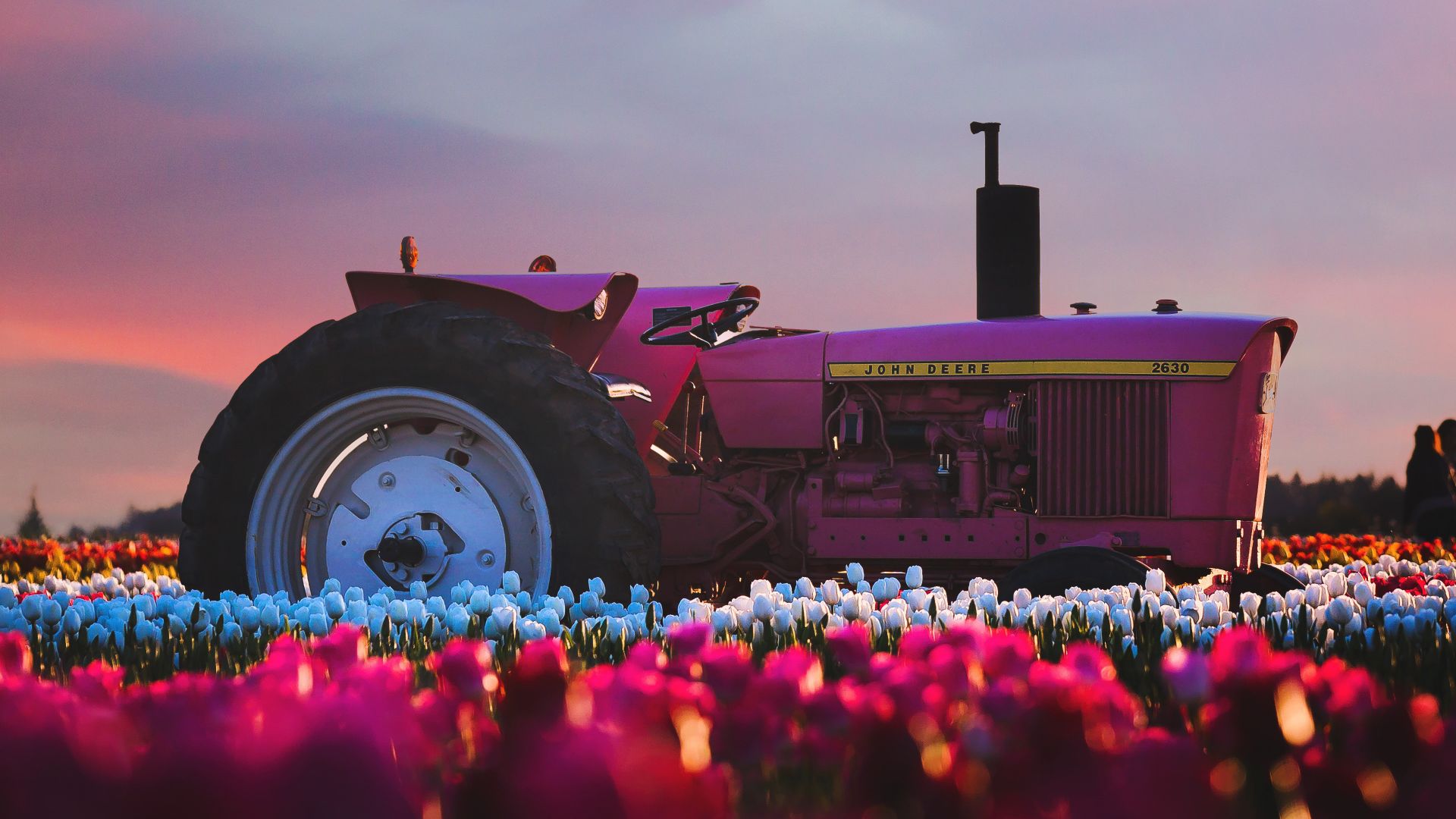 Wallpaper John Deere Tractor flower farm, 4k