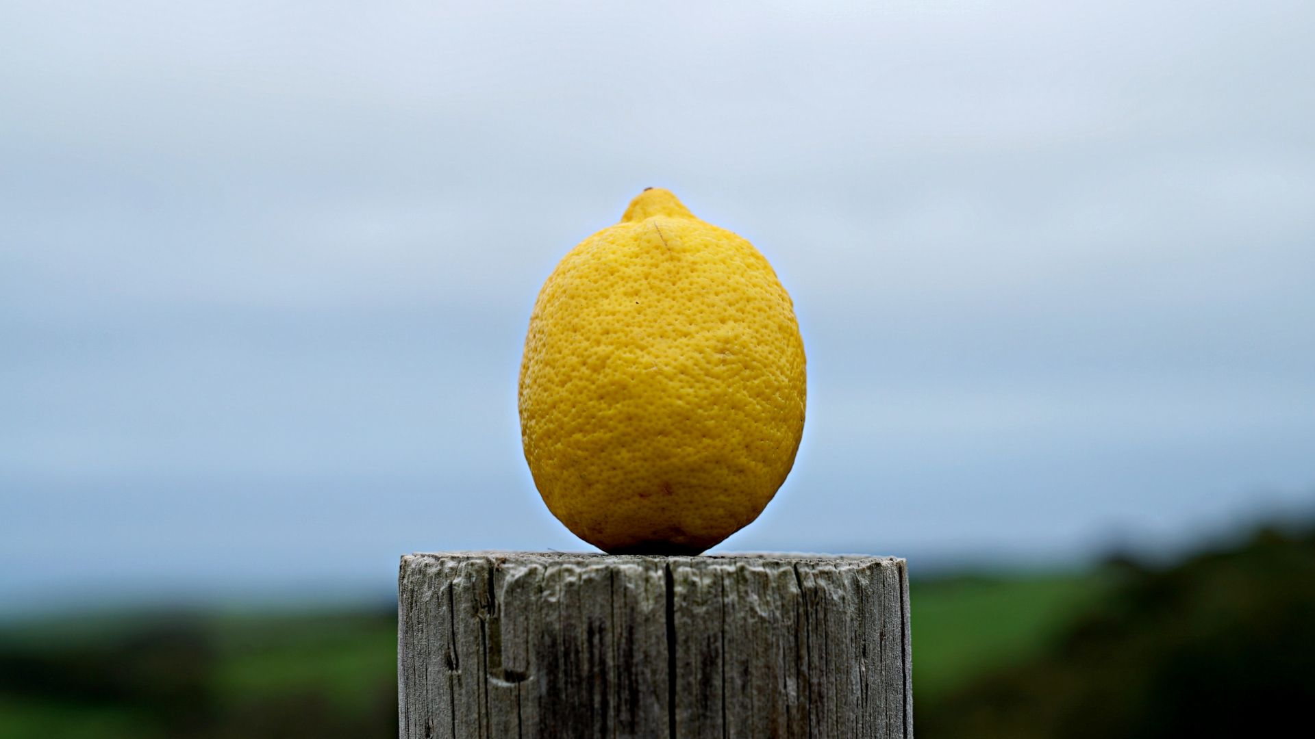 Wallpaper Lemon, yellow, freshness, fruit, 4k