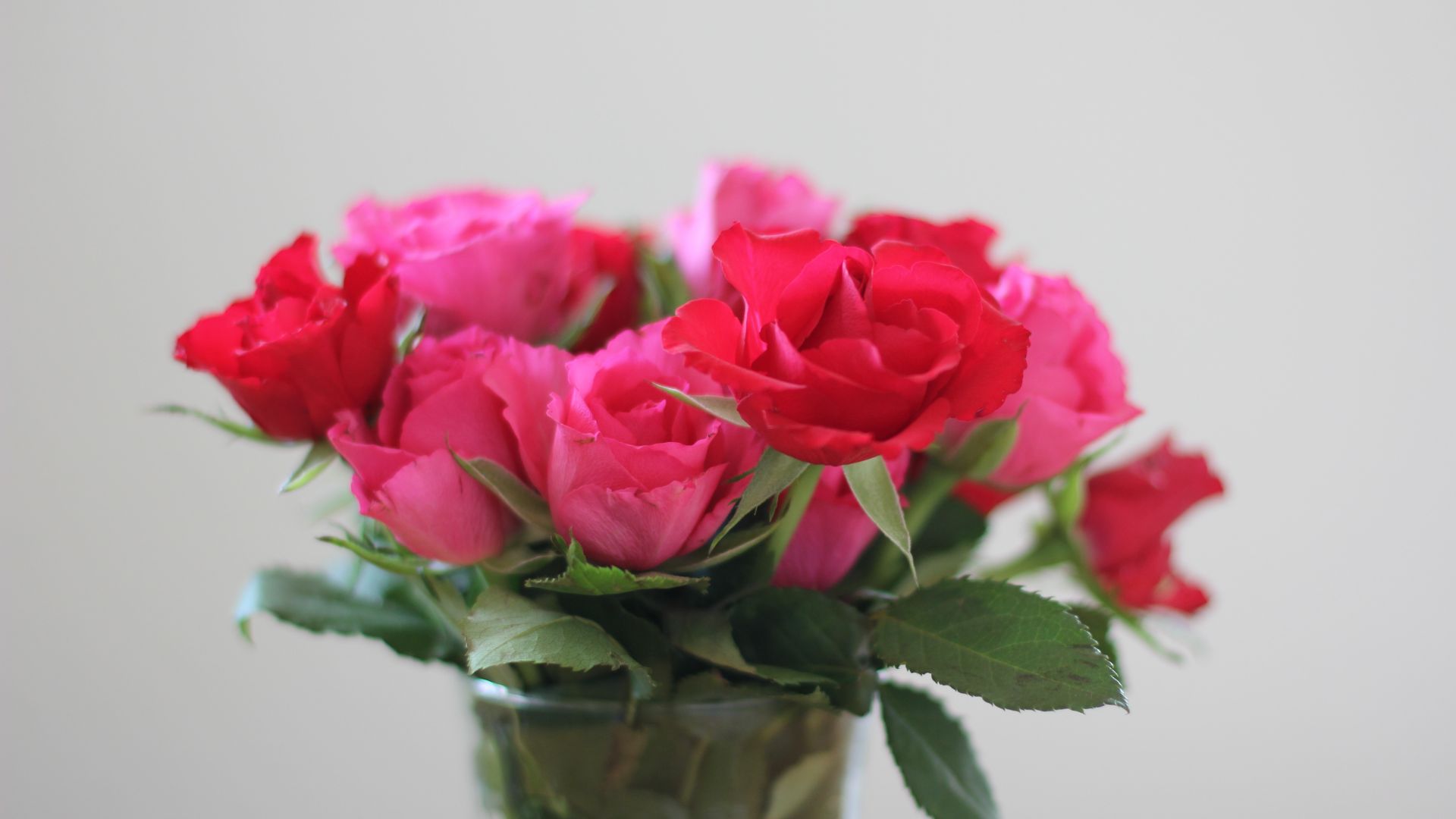 Wallpaper Red roses, vase, flowers