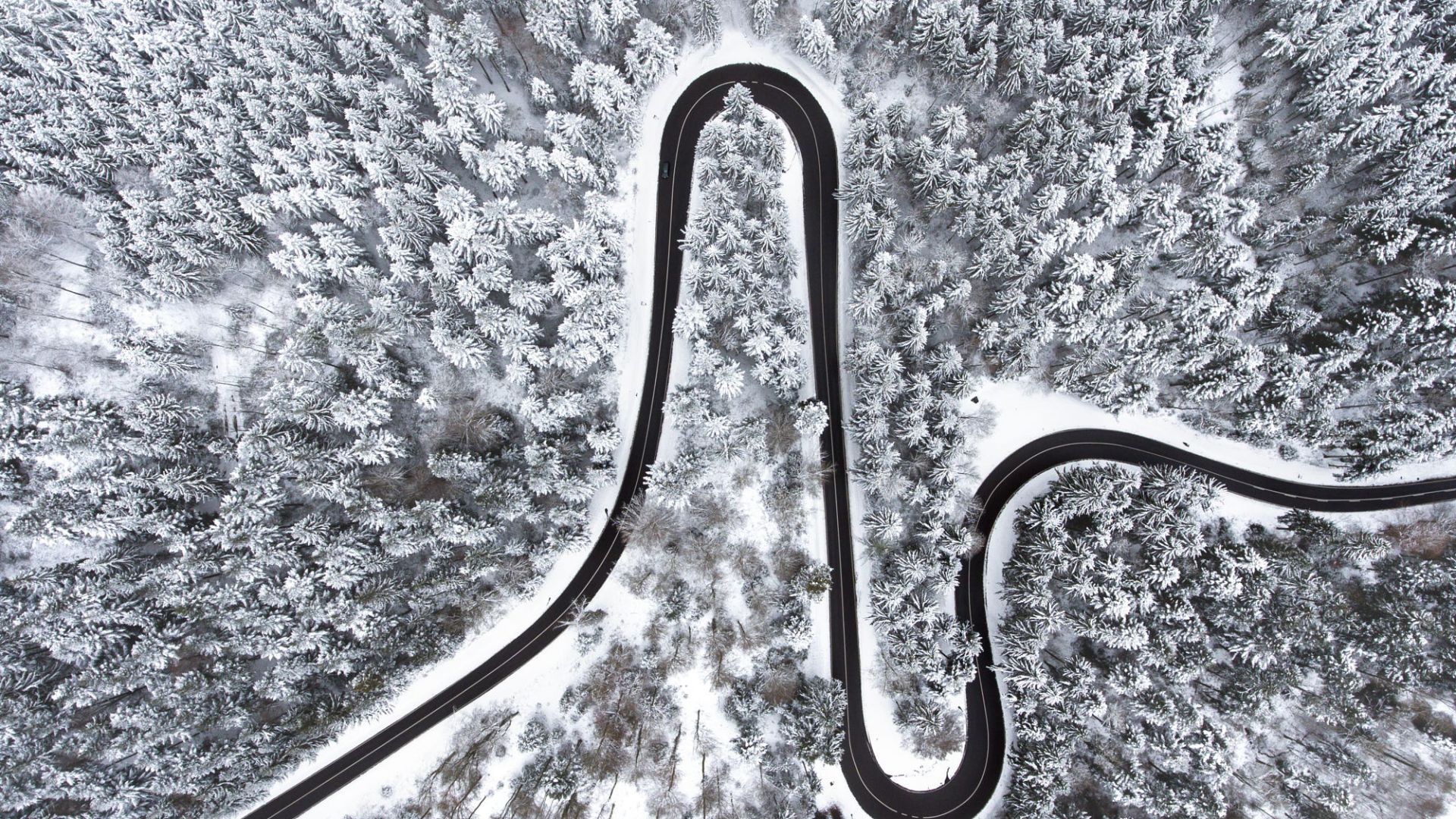 Desktop Wallpaper Winter, Tree, Forest, Curvy Road, Aerial View, Hd Image,  Picture, Background, 270bcd