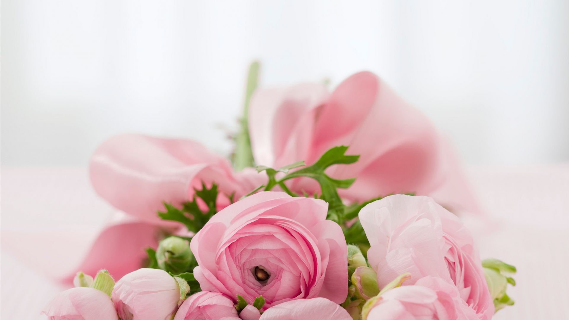 Wallpaper Roses, bouquet, pink flowers, 4k