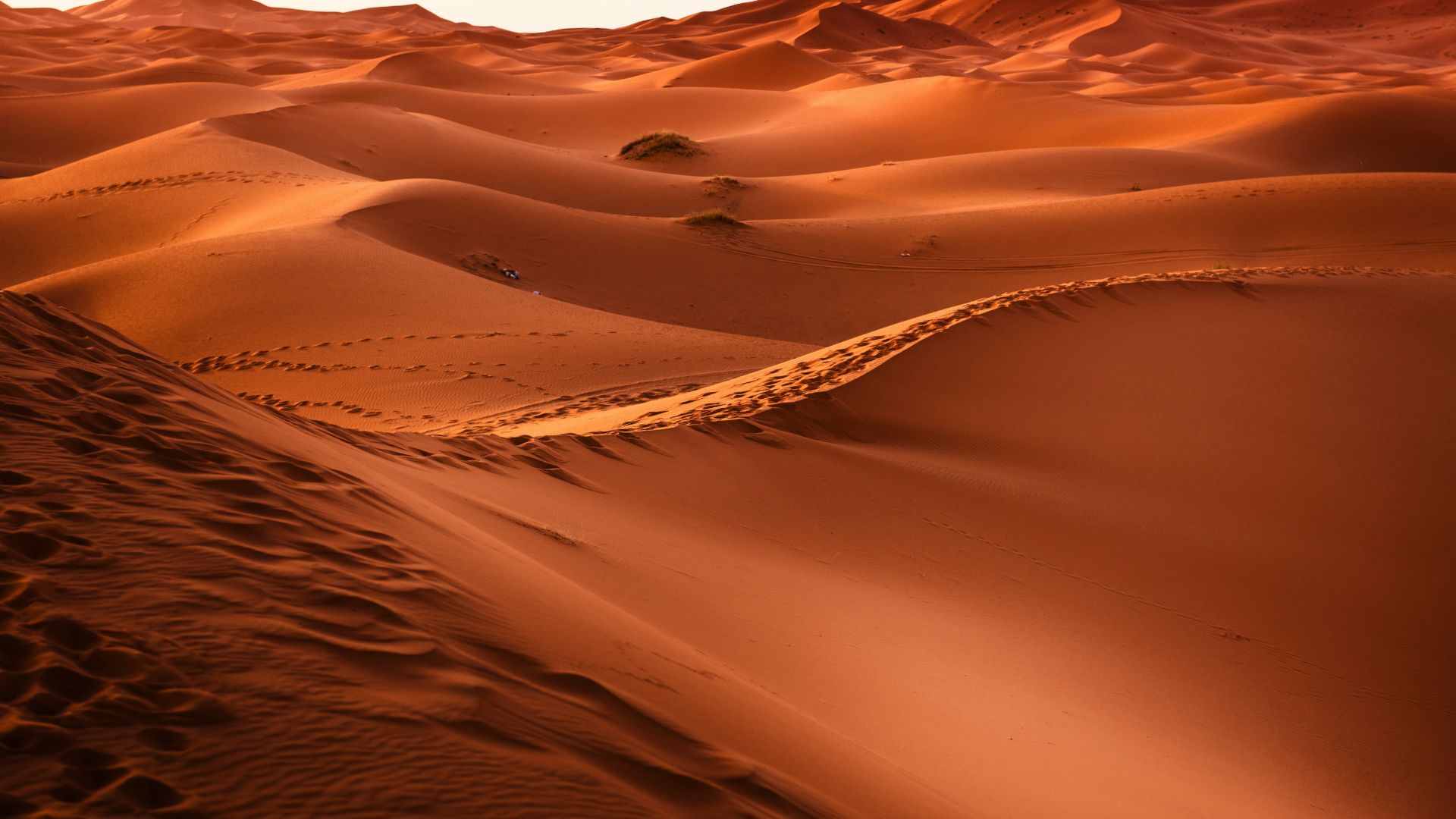 Wallpaper Morocco, desert, sand, dunes, 5k