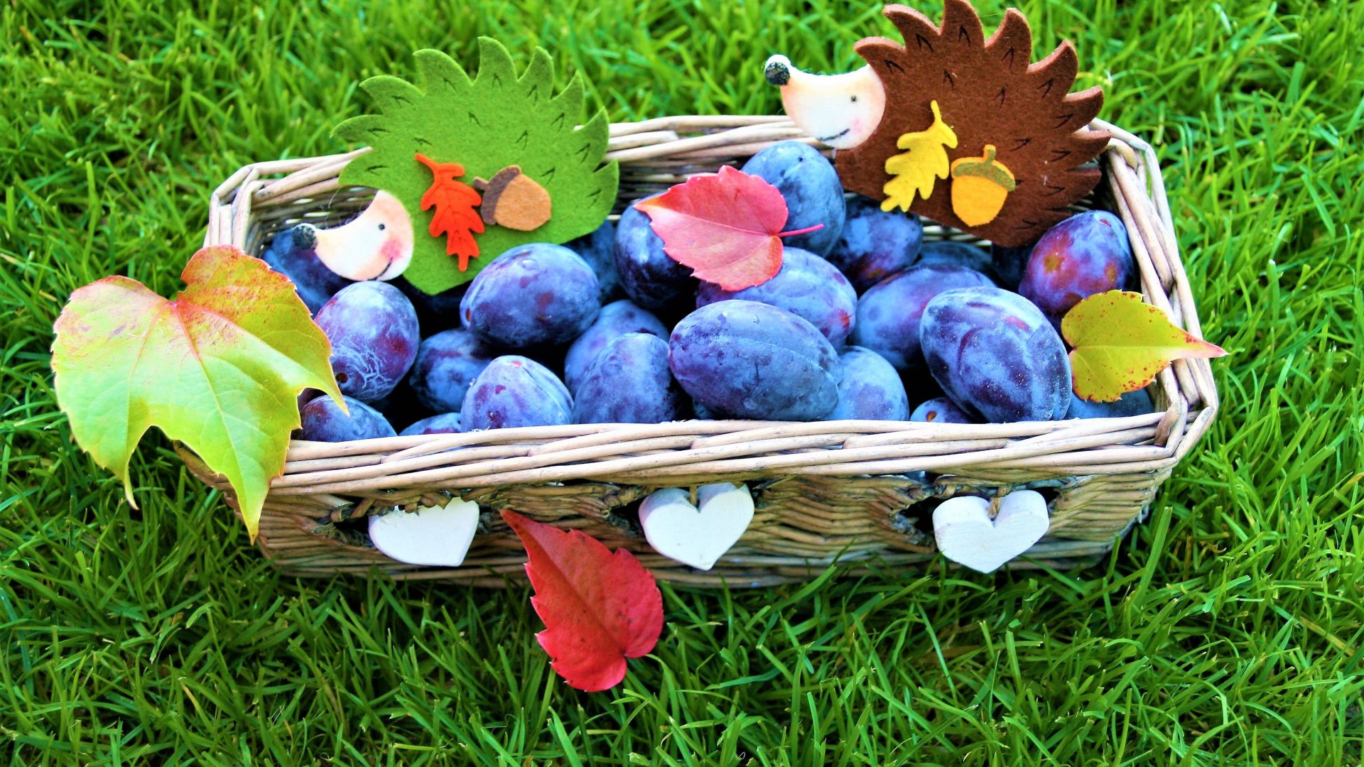 Wallpaper Autumn, plums, fruits basket, 4k