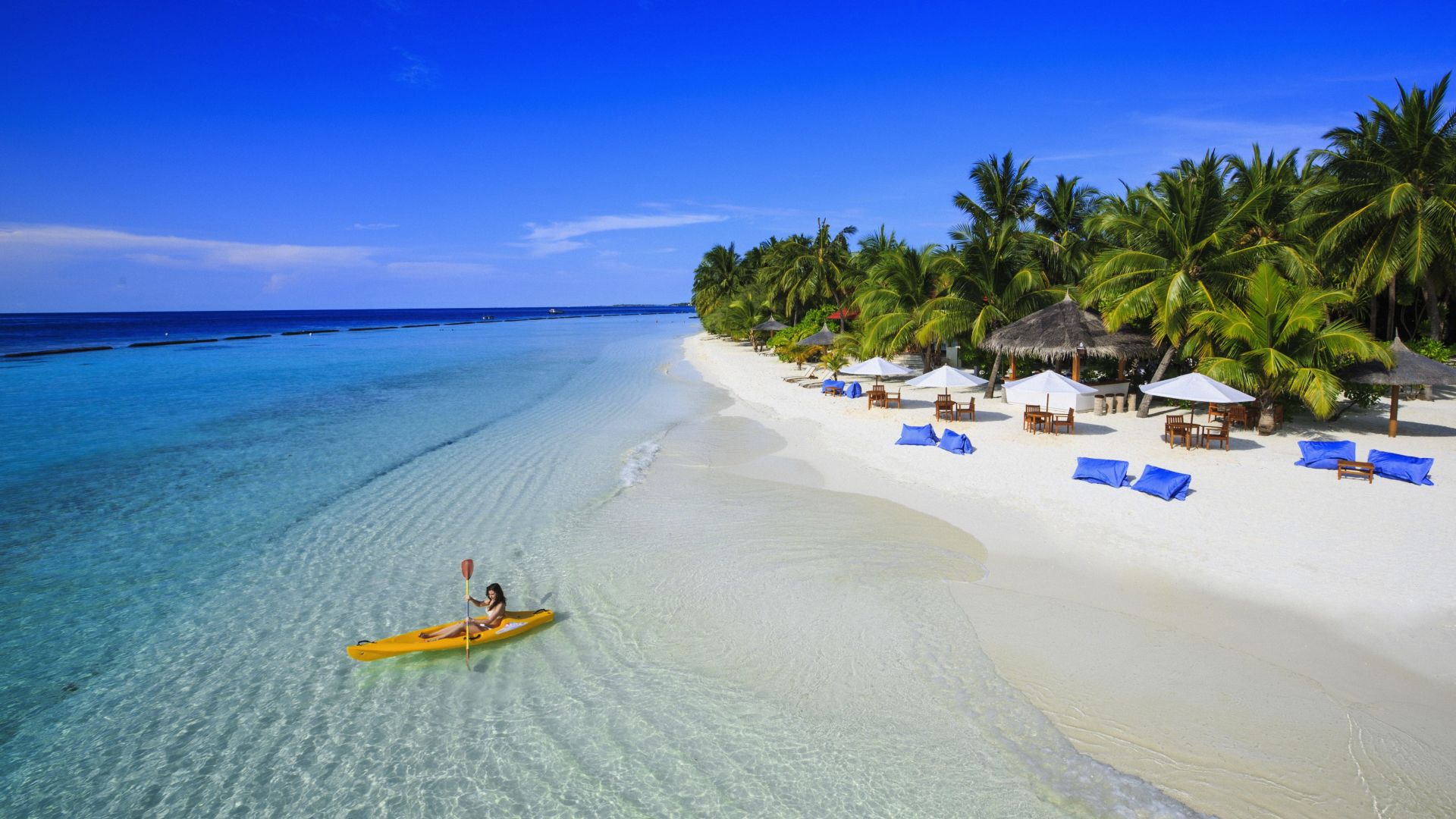 Wallpaper Tropical beach, resort, palm tree, sea, blue sky