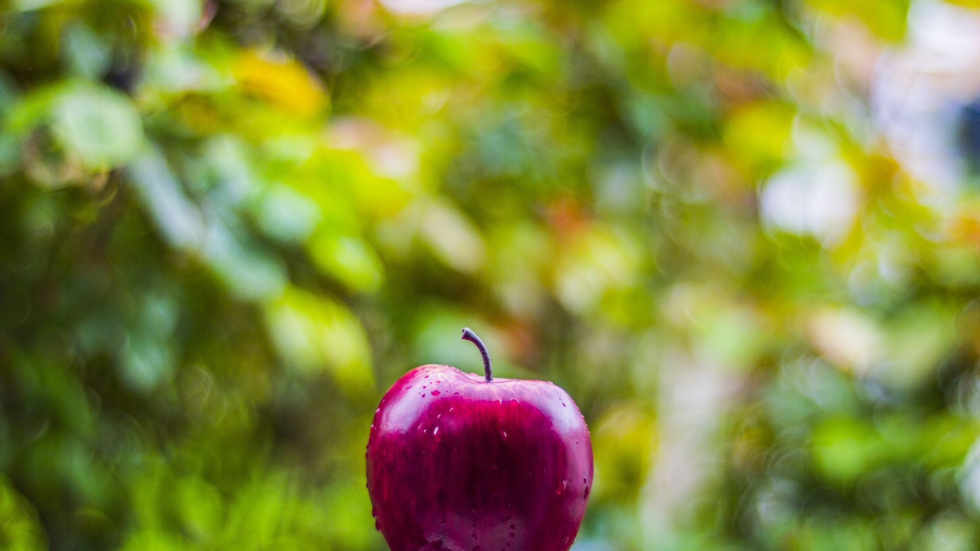 Wallpaper Apple fruit, drops, bokeh