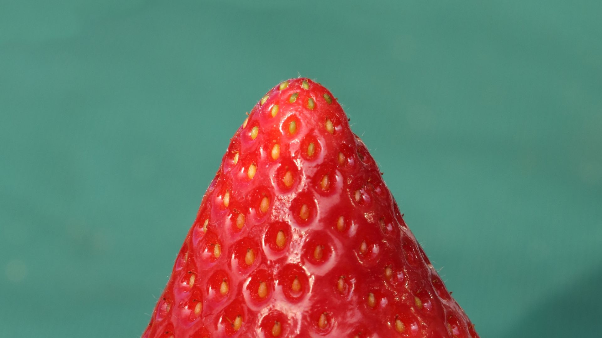 Wallpaper Strawberry fruit, close up