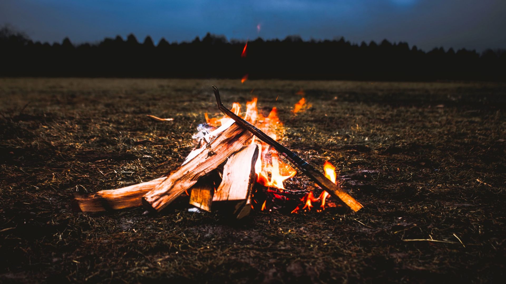 Wallpaper Campfire, fire, evening