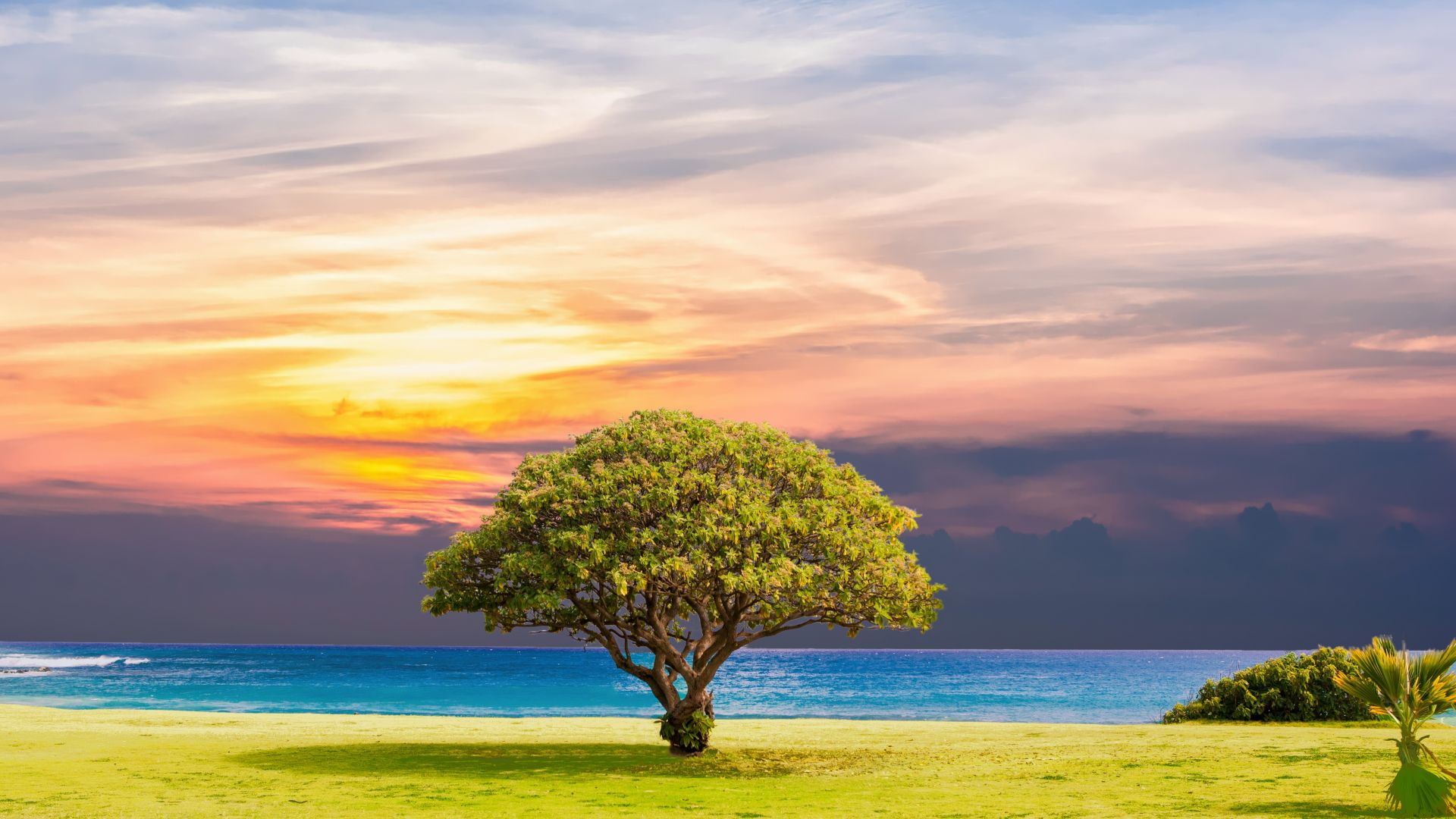 Desktop Wallpaper Tree, Sunset, Landscape, Skyline, Nature, Sea, Hd Image,  Picture, Background, 345315