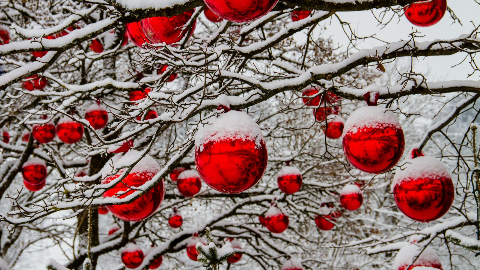 Wallpaper Christmas decorations, red balls, Christmas, holiday, 5k