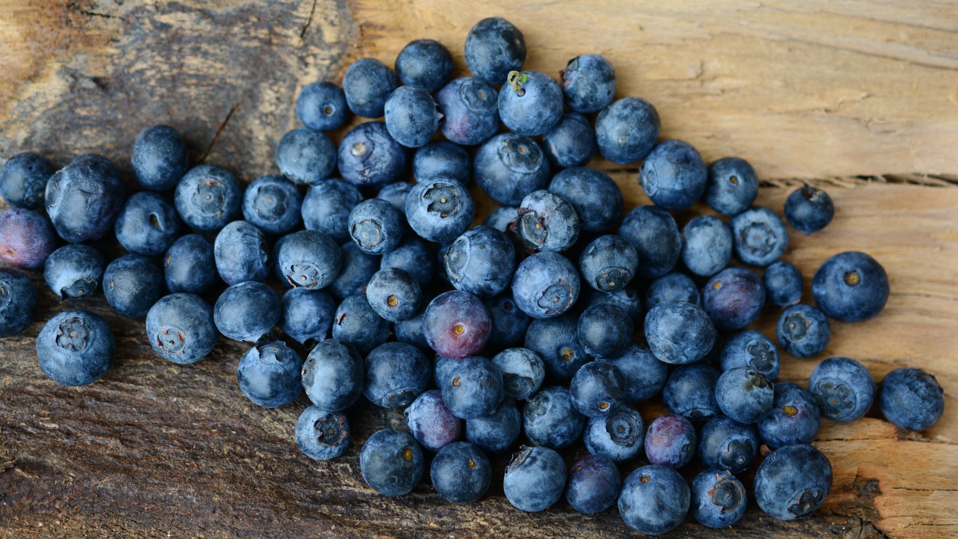 Wallpaper Blueberries, blue fruits