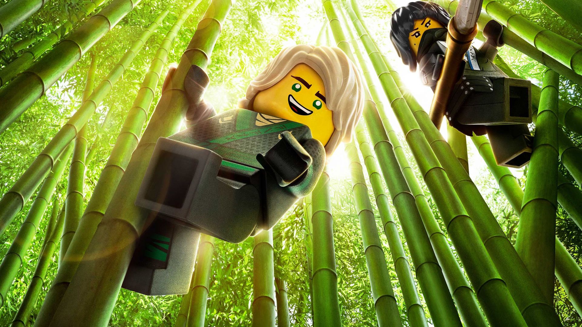 Wallpaper The Lego Ninjago Movie, warrior, ninja, bamboo forest