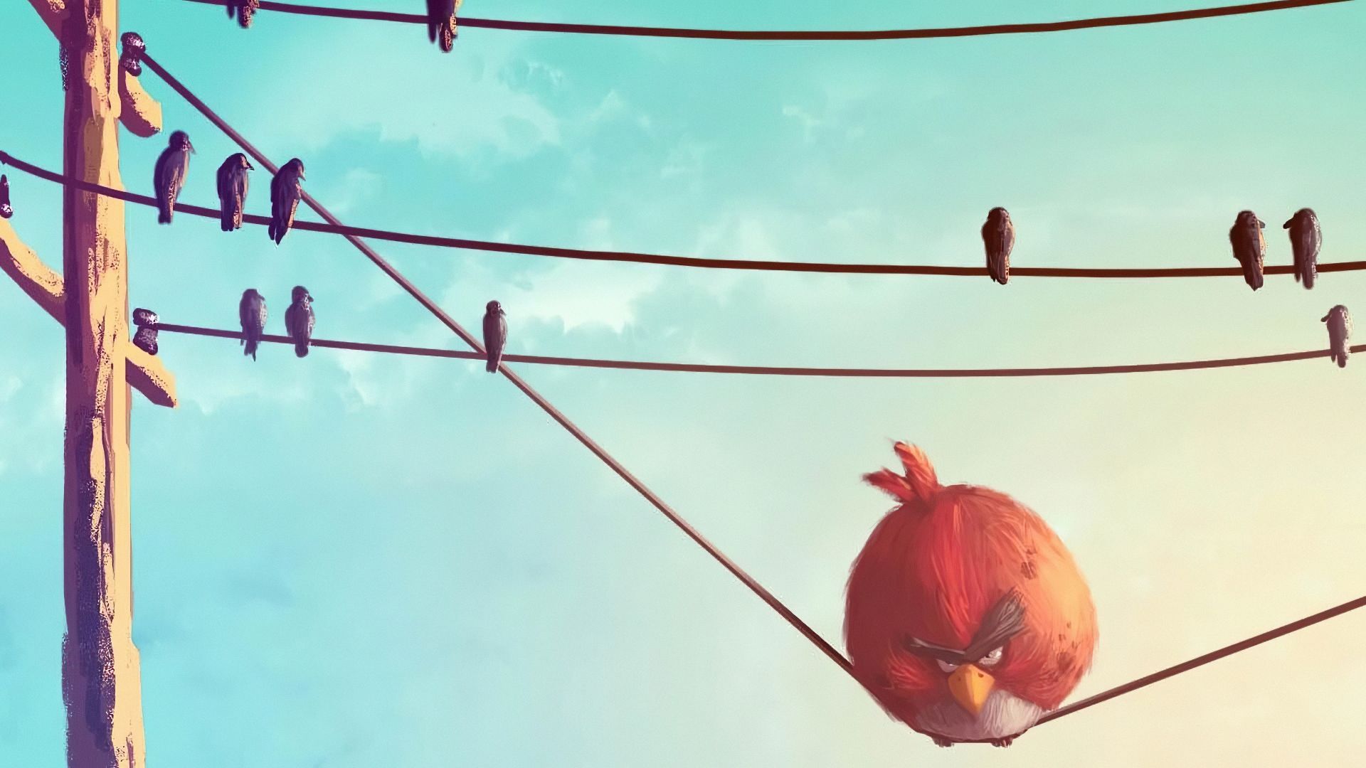 Wallpaper Angry birds, red, birds sitting on wire, funny art