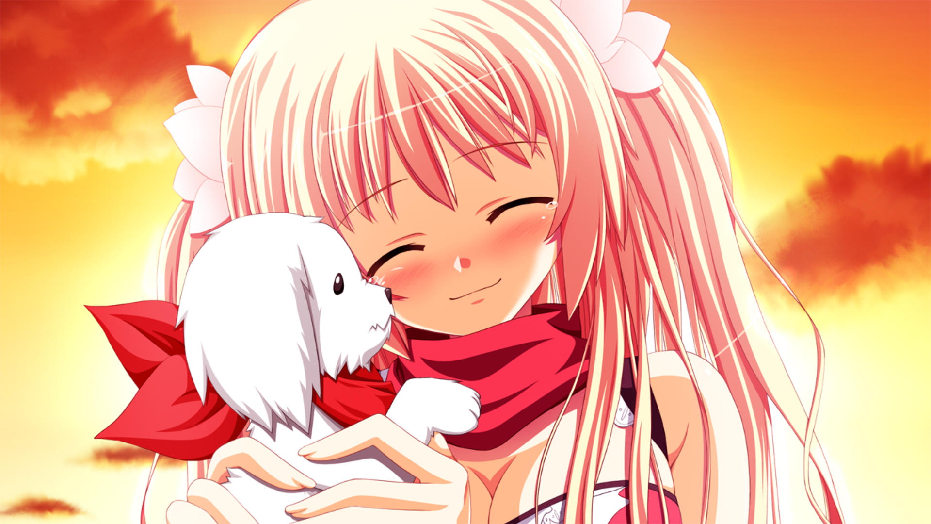 Wallpaper Cute anime girl, Sakura, Fortissimo, puppy
