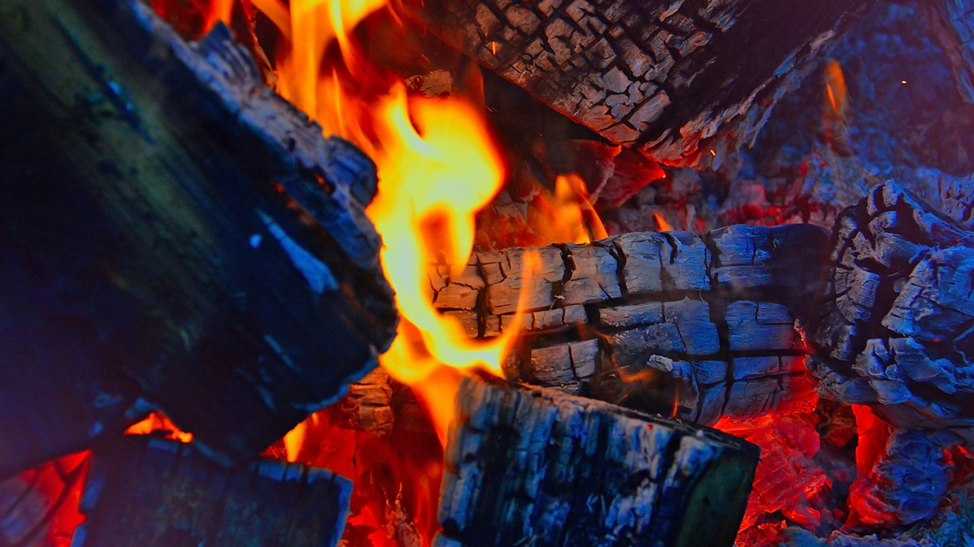 Wallpaper Campfire, wood, flame, fire