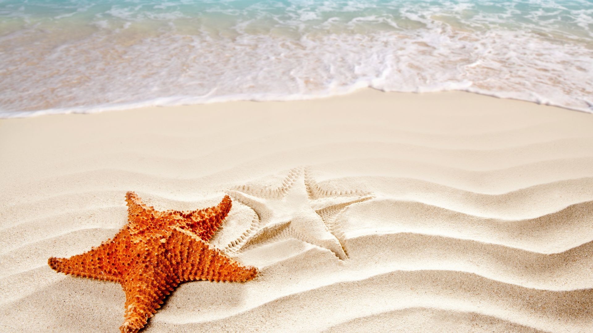 Wallpaper Beach, Sea, Starfish, sand, sea waves