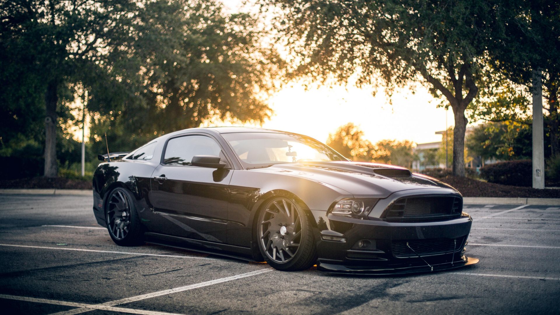 Wallpaper Ford Mustang Shelby, black sports car, side view