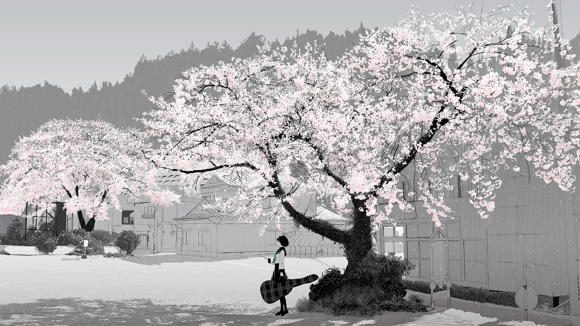 Wallpaper Cherry blossom, anime girl, outdoor