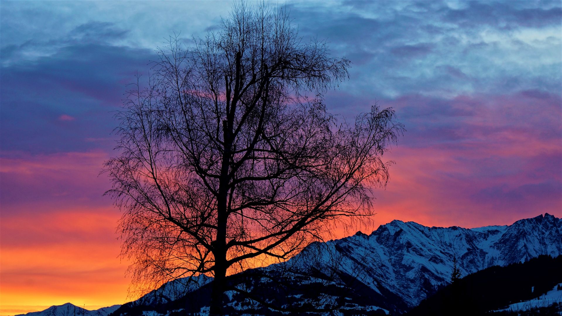 Wallpaper Tree, clouds, sunrise, mountains, 5k