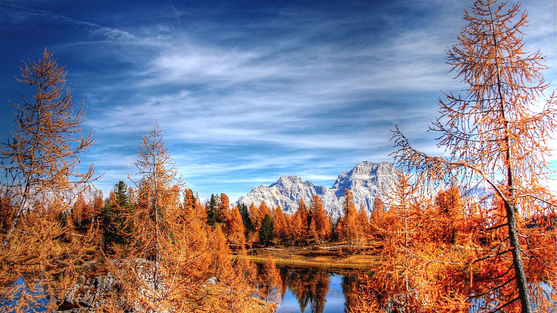 Wallpaper Dolomites, mountains, forest, clean sky, autumn