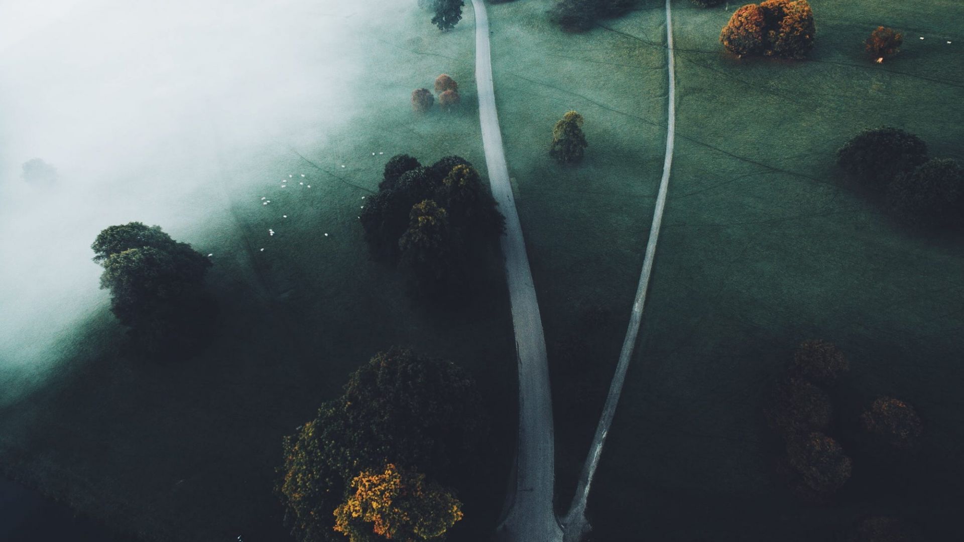 Wallpaper Mist, fog, landscape, roads, aerial view