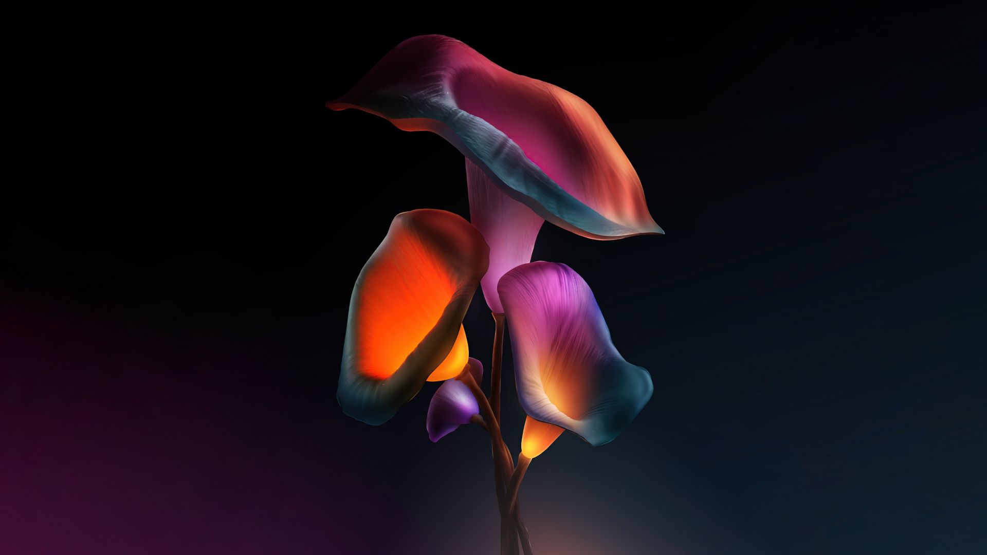 Wallpaper Iris flowers, dark glowing digital art