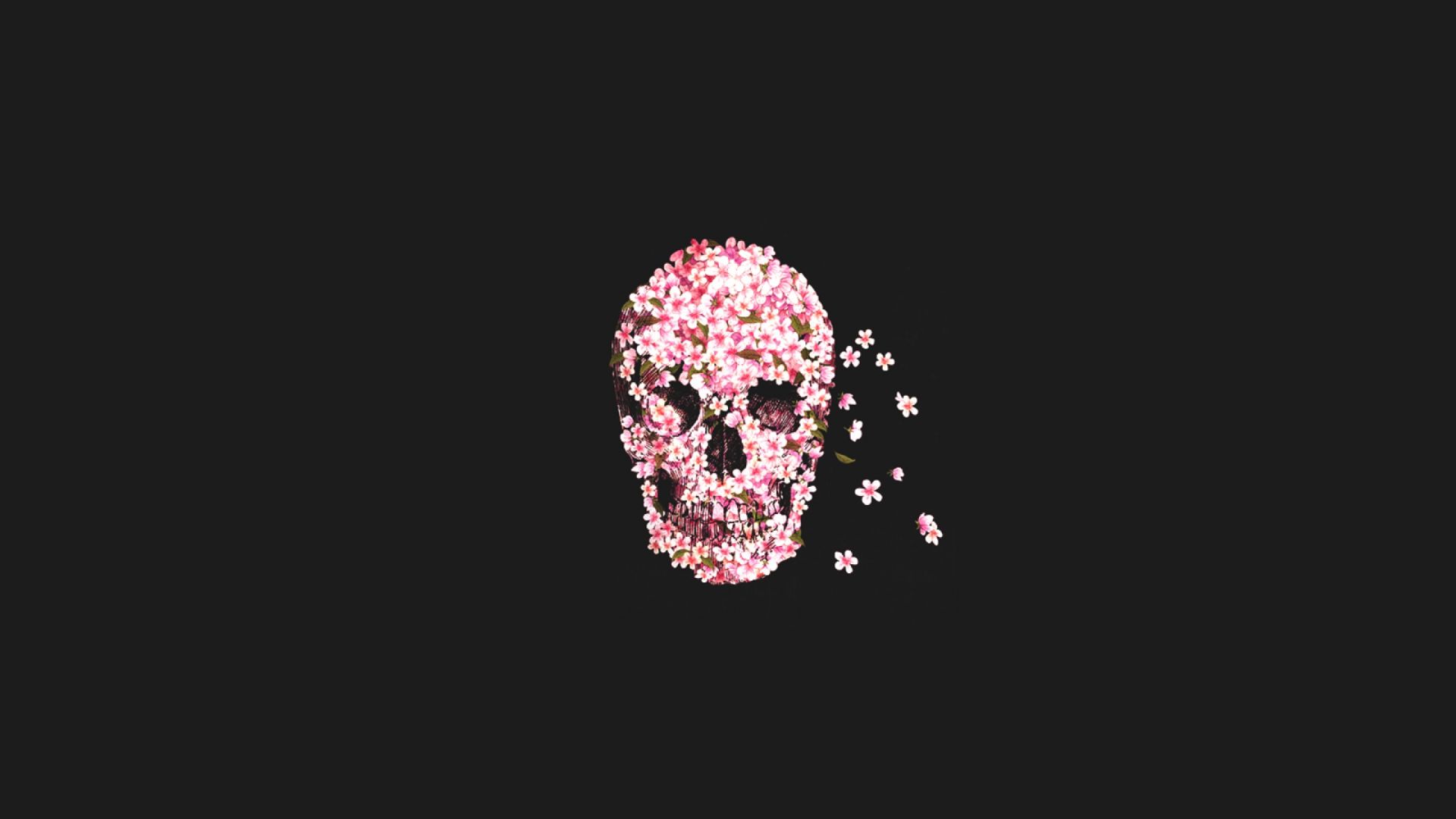Wallpaper Flowers, skull, minimal, art