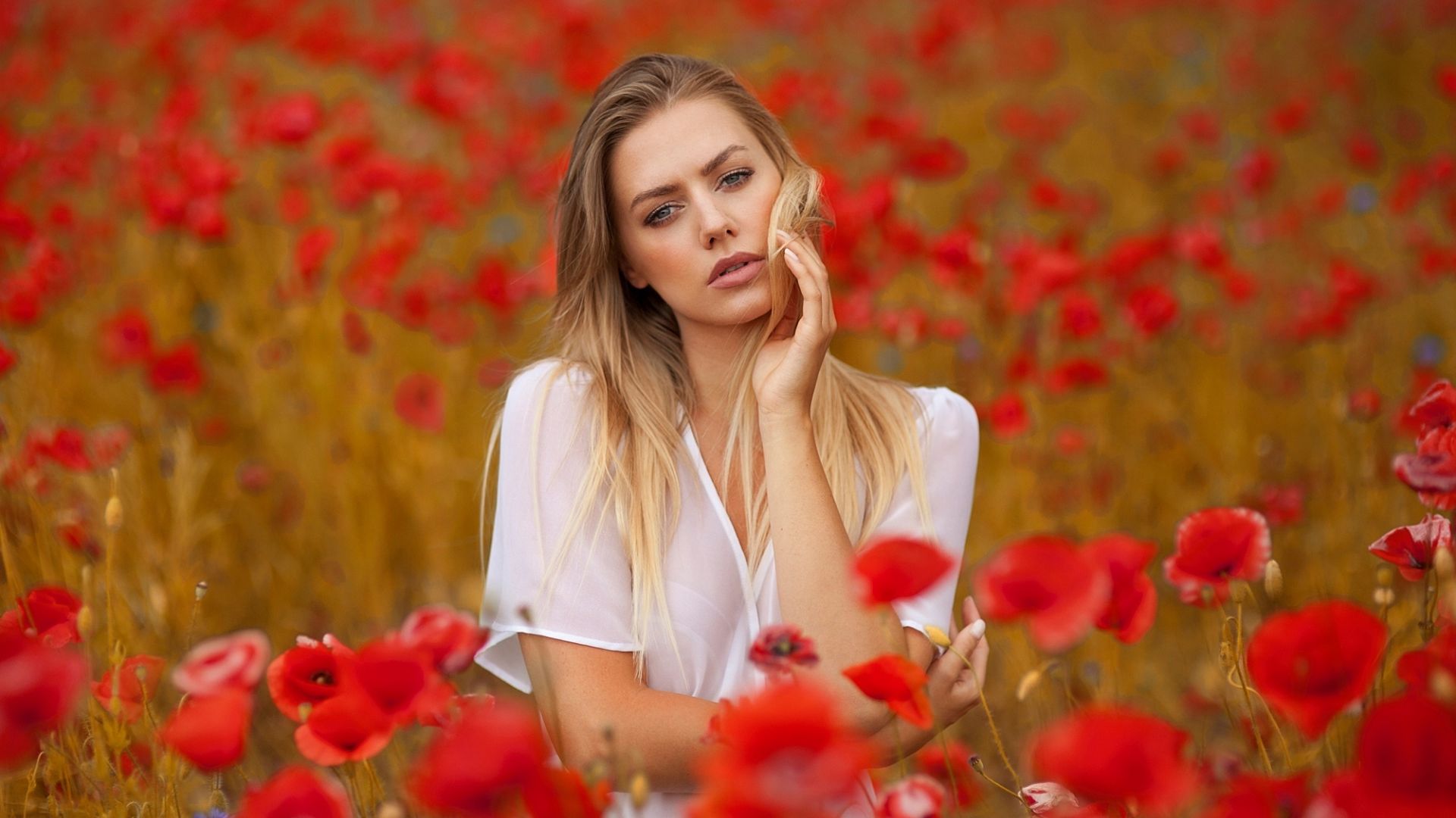 Wallpaper Girl model, blonde, poppy field