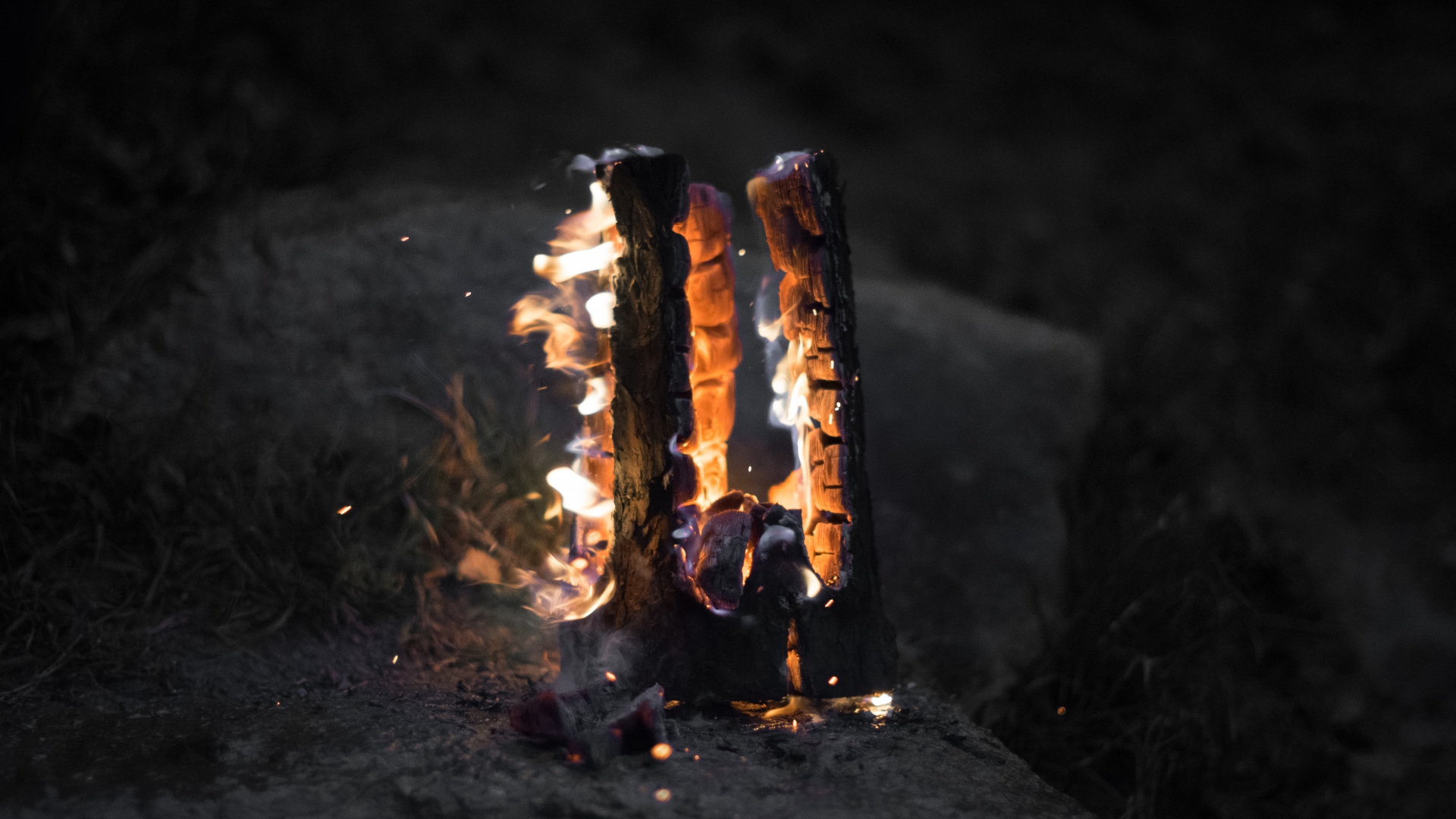 Wallpaper Campfire, fire, wood, night