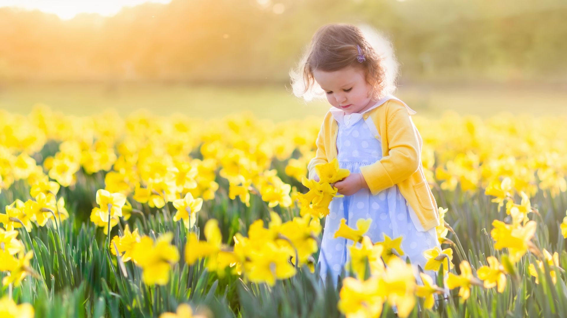 Wallpaper Cute kid, yellow flower farm