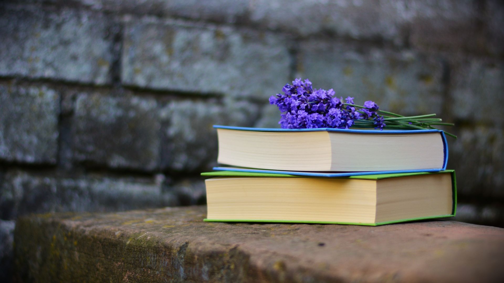 Wallpaper Books, reading, purple flowers