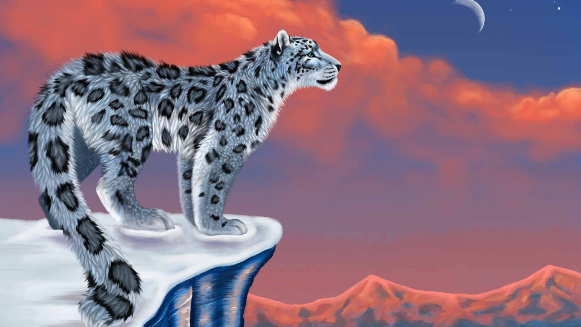 Wallpaper Snow leopard drawing artwork