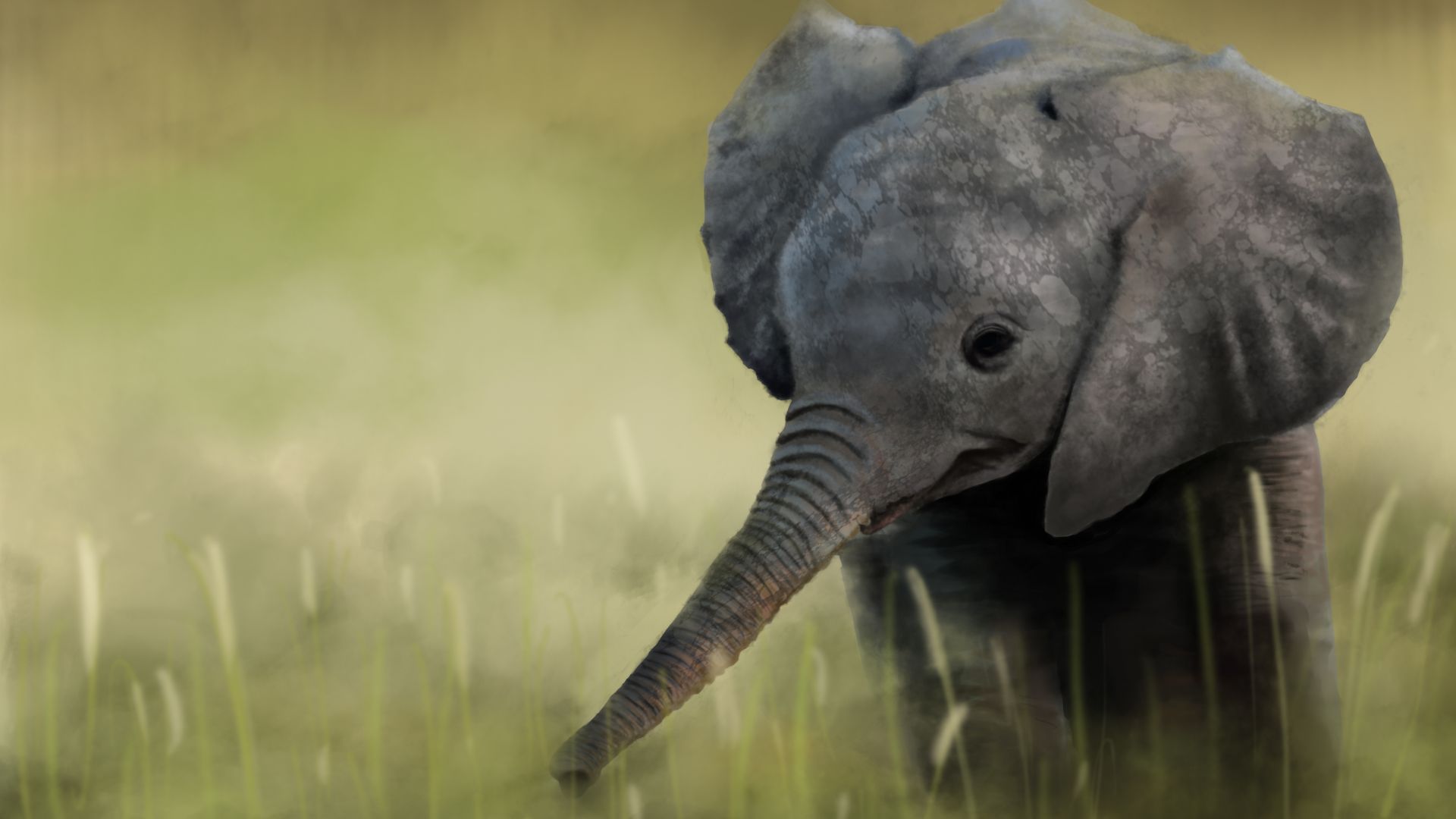 Desktop Wallpaper Baby Elephant, Animal, Art, Hd Image, Picture,  Background, 4o2qzb