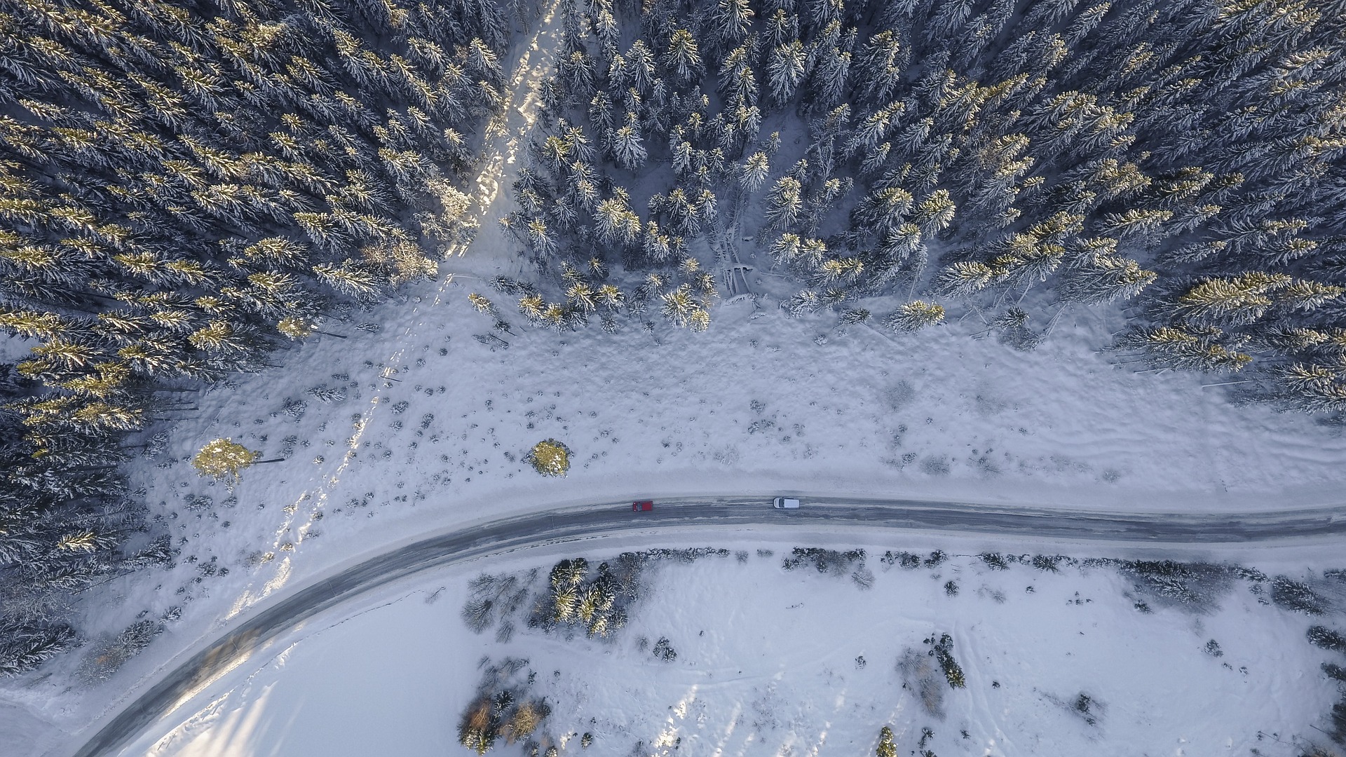 Wallpaper Snowy trees, road, forest, aerial view