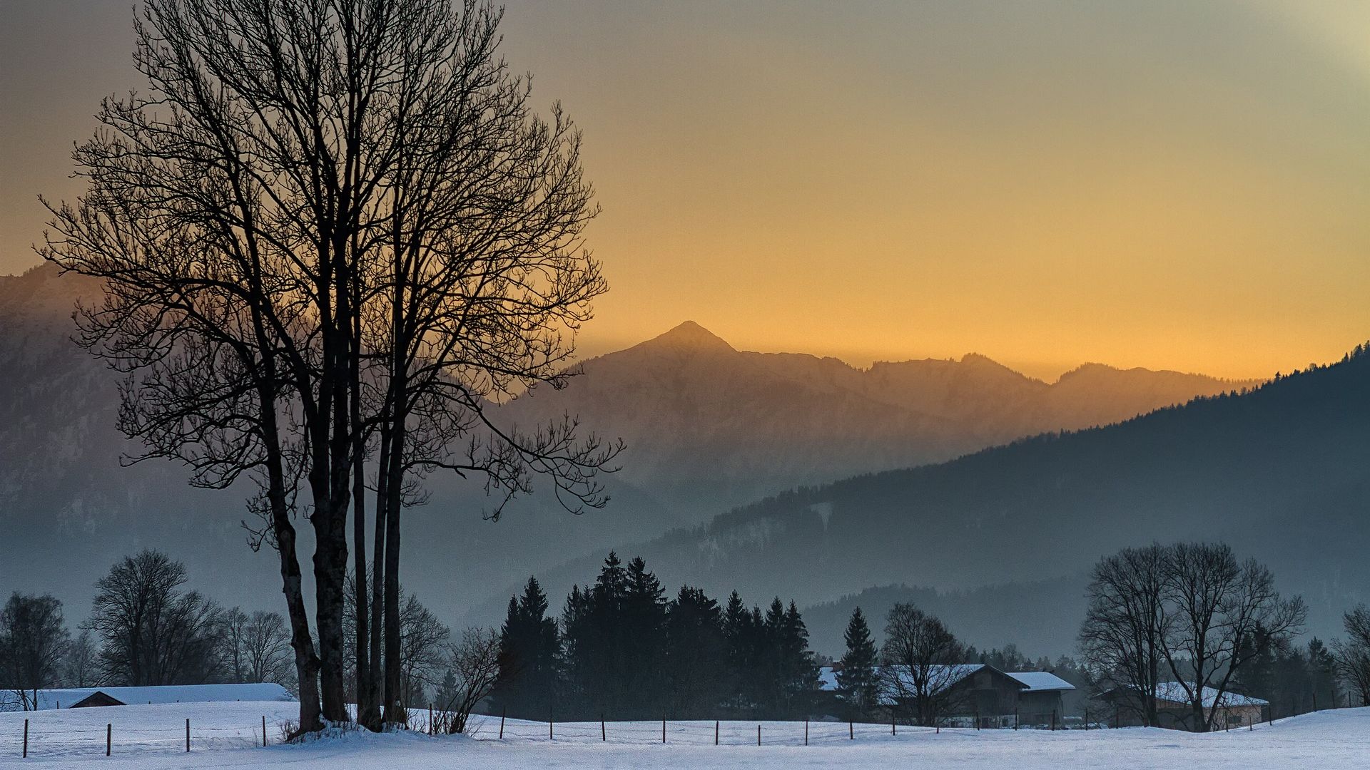 Wallpaper Fischbachau, sunset, nature, tree, landscape