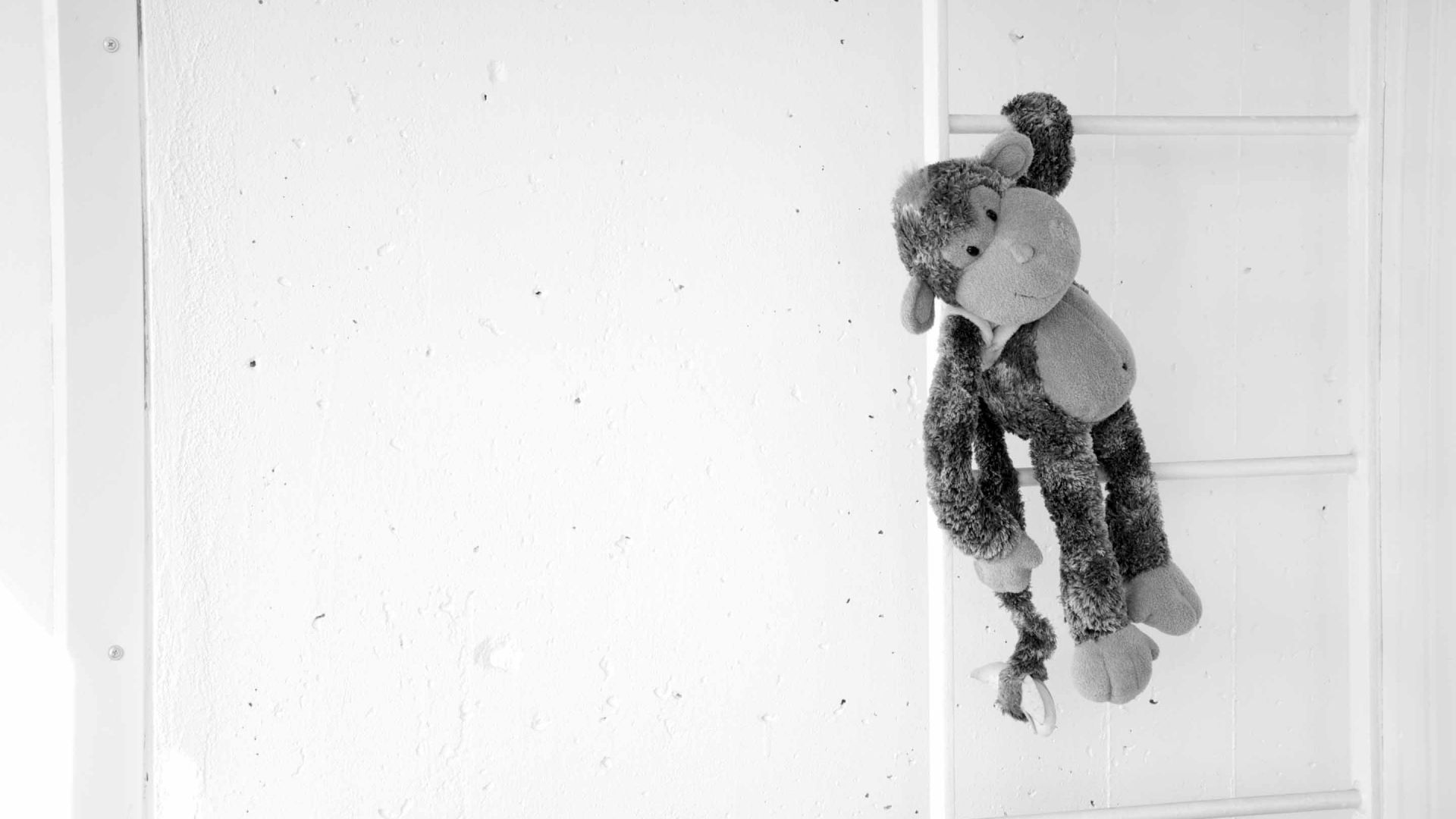 Wallpaper The monkey on ladder