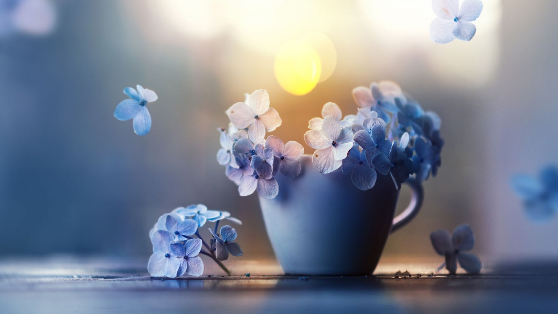 Wallpaper Small, blue flowers, pot