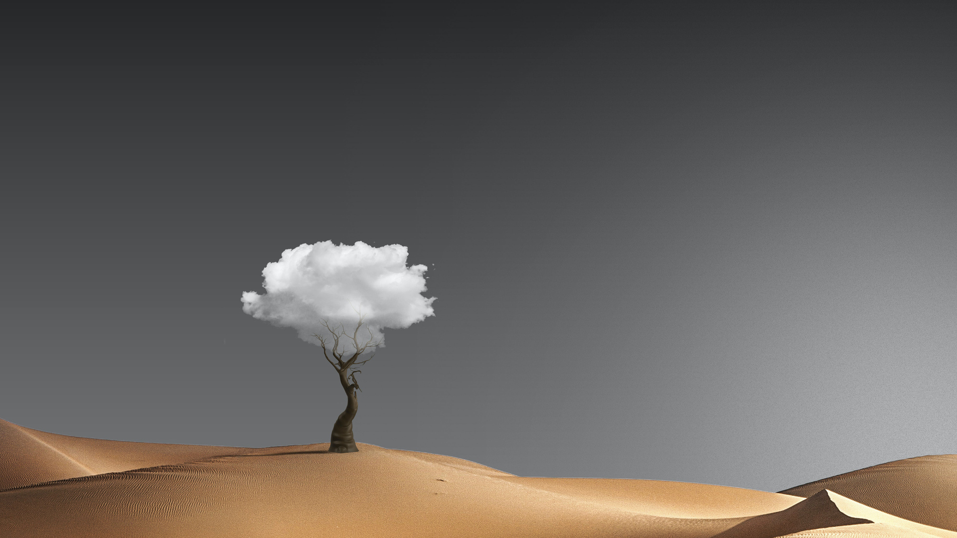 Wallpaper Minimal, tree in desert, digital art
