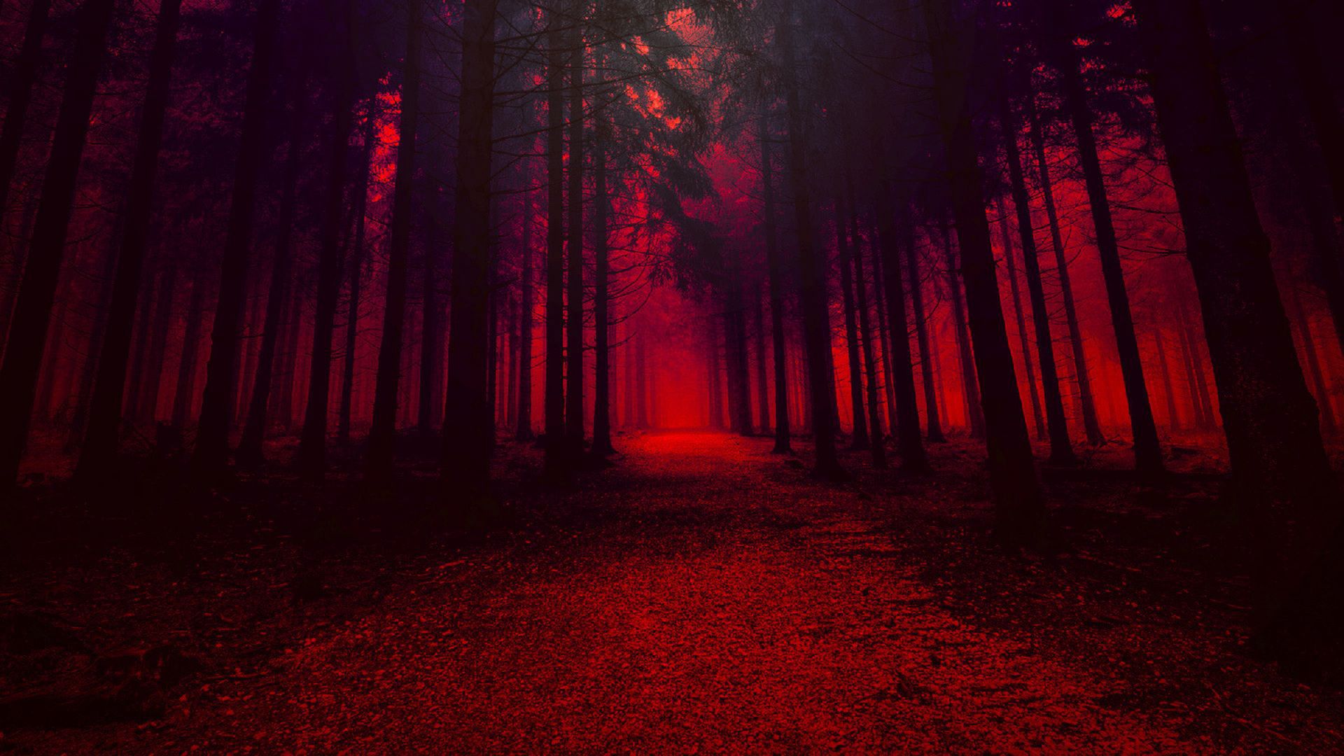 Wallpaper Red theme, forest, pathway, dark