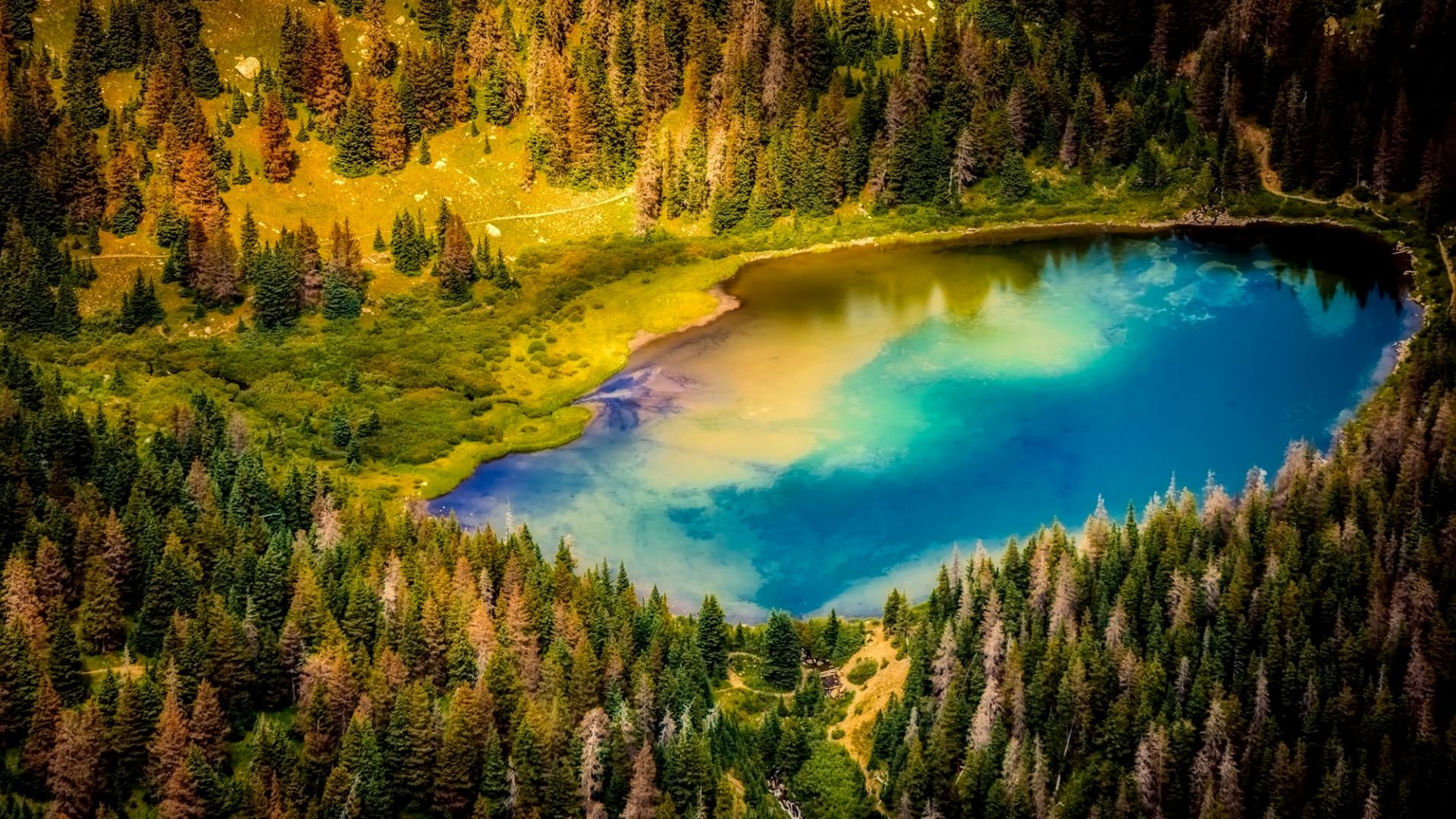 Wallpaper Aerial view, forest, tree, lake, nature
