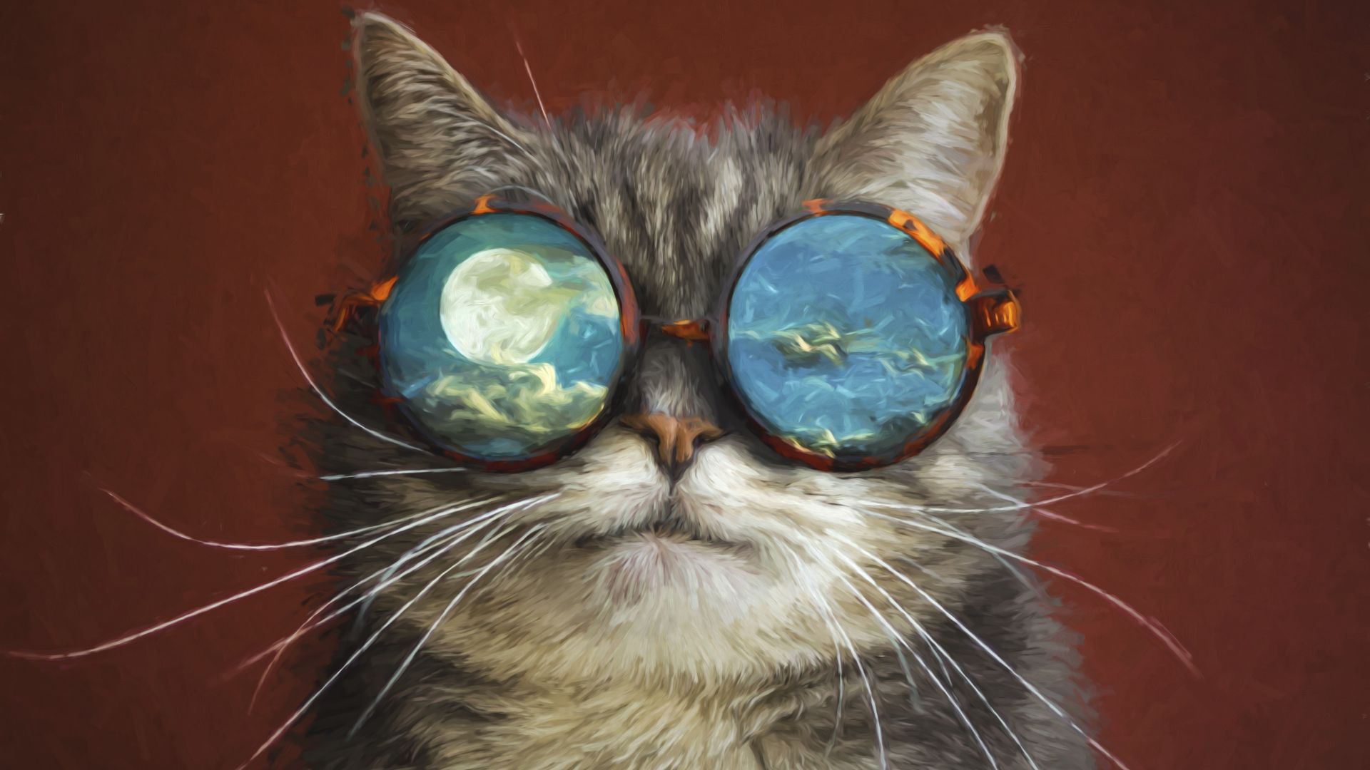Desktop Wallpaper Funny, Sunglasses, Cat's Muzzle, 4k, Hd ...