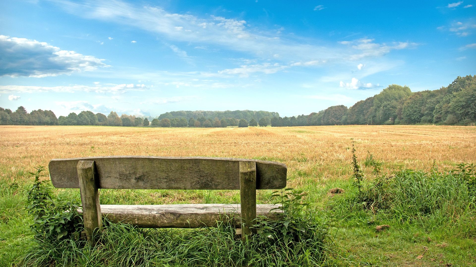 Wallpaper Wooden bench, landscape, farm